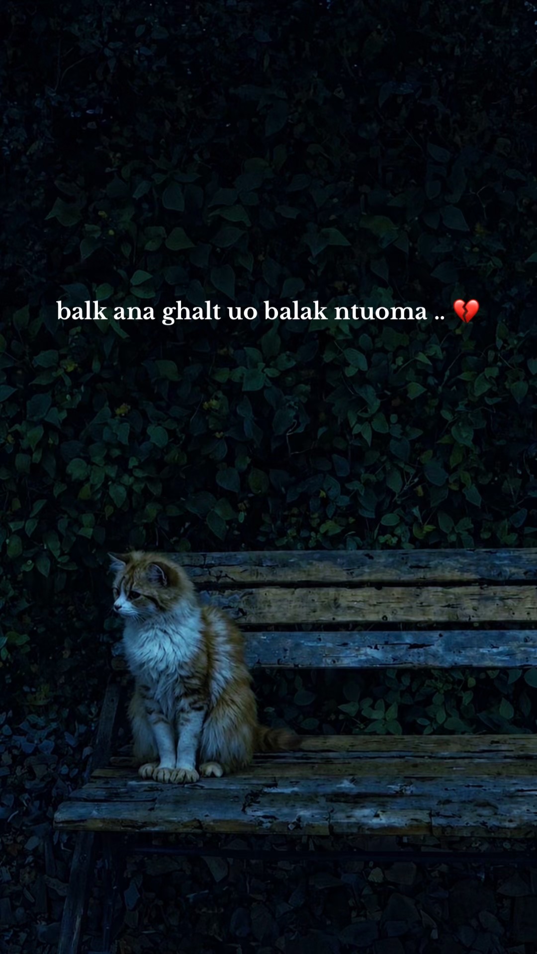 @𝙛𝙧𝙞𝙙𝙪𝙤𝙢  🥀❤️&zwj;🩹