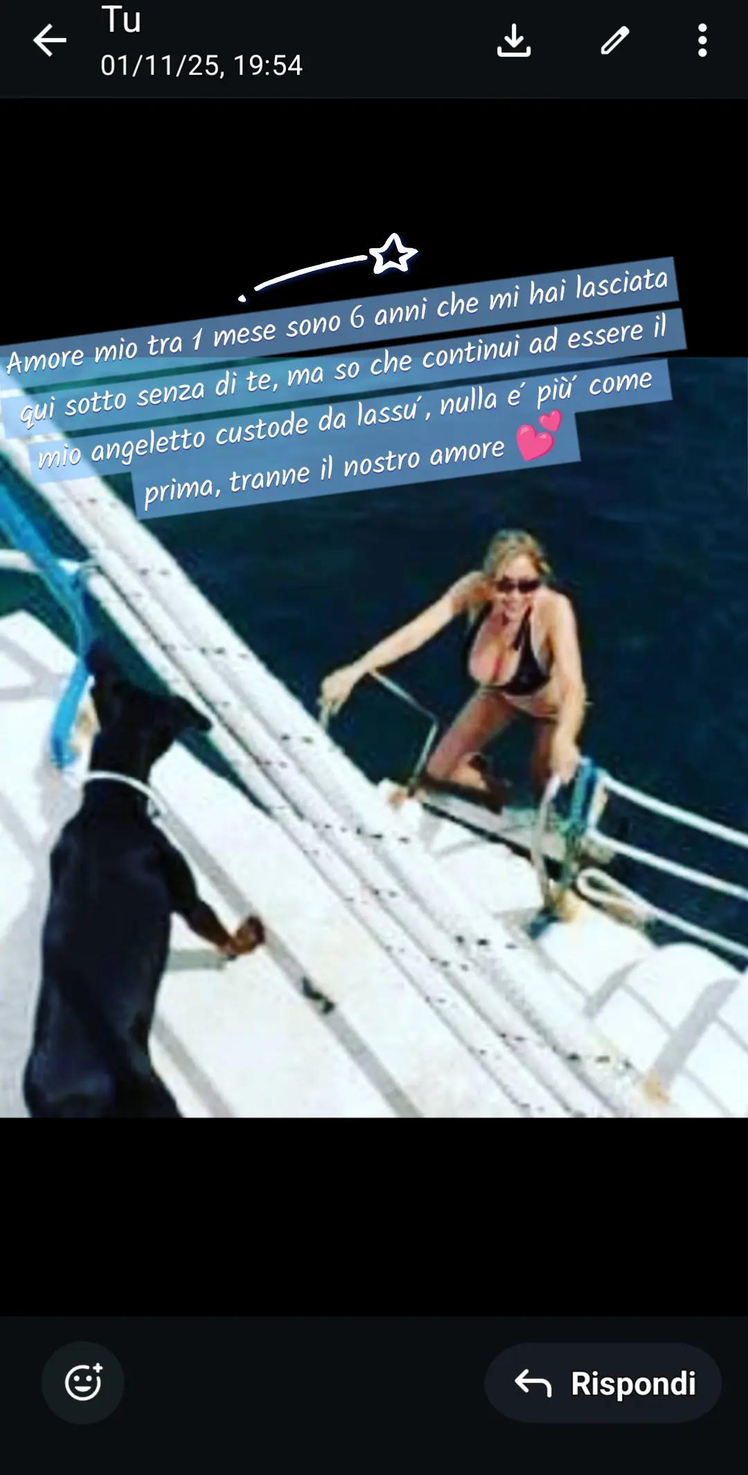 @StefaniadePincher