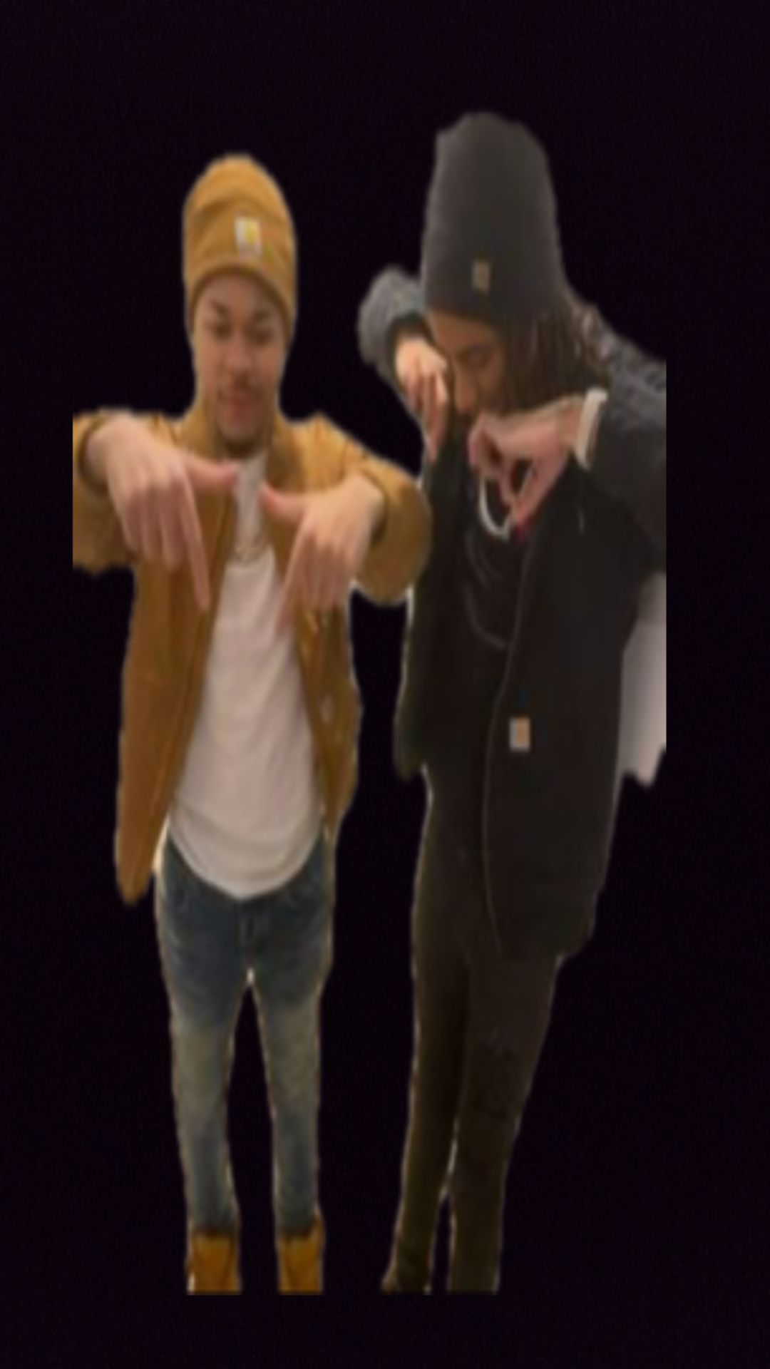 @bloodhoundliljeff