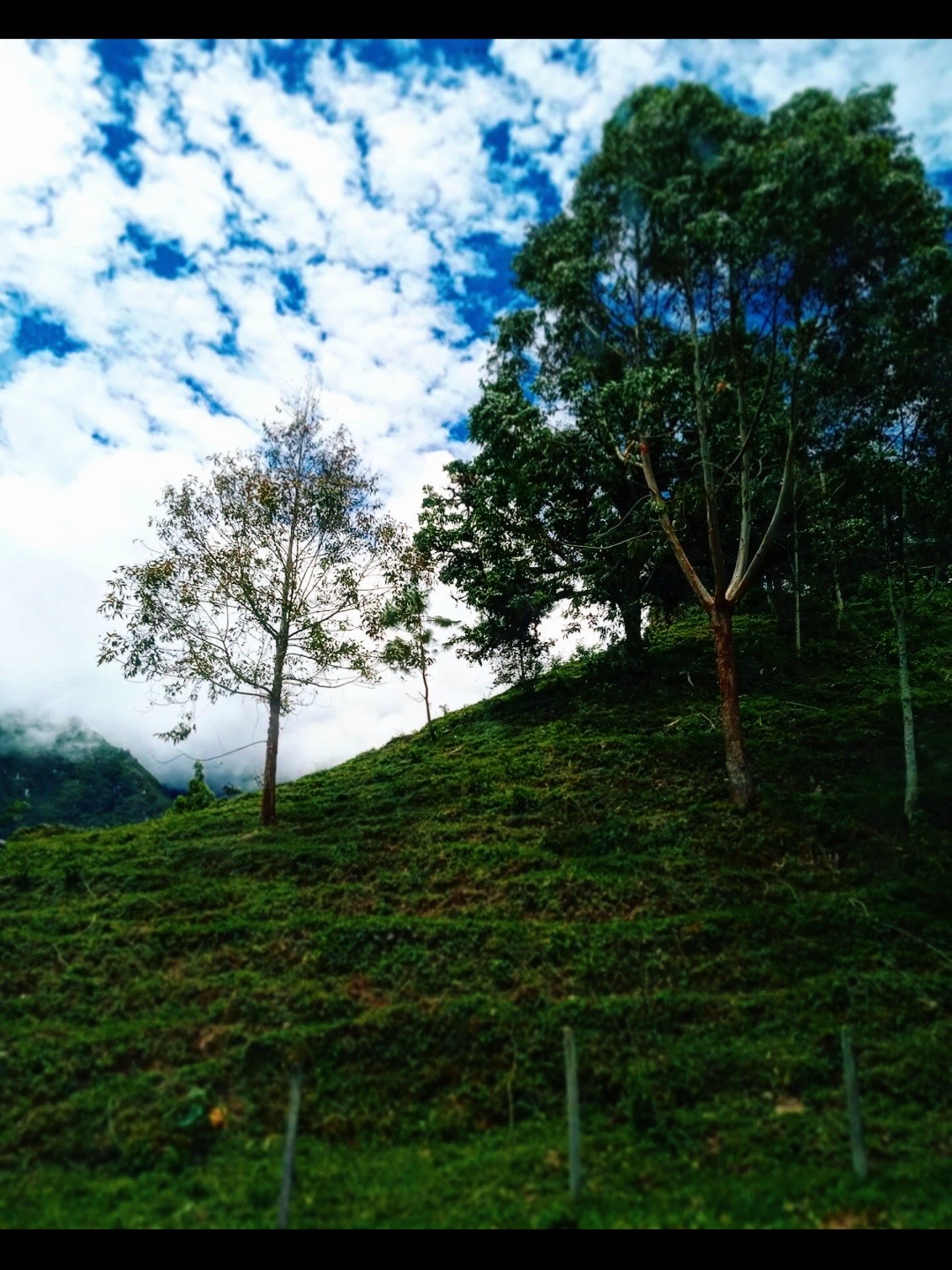@Luchi :)