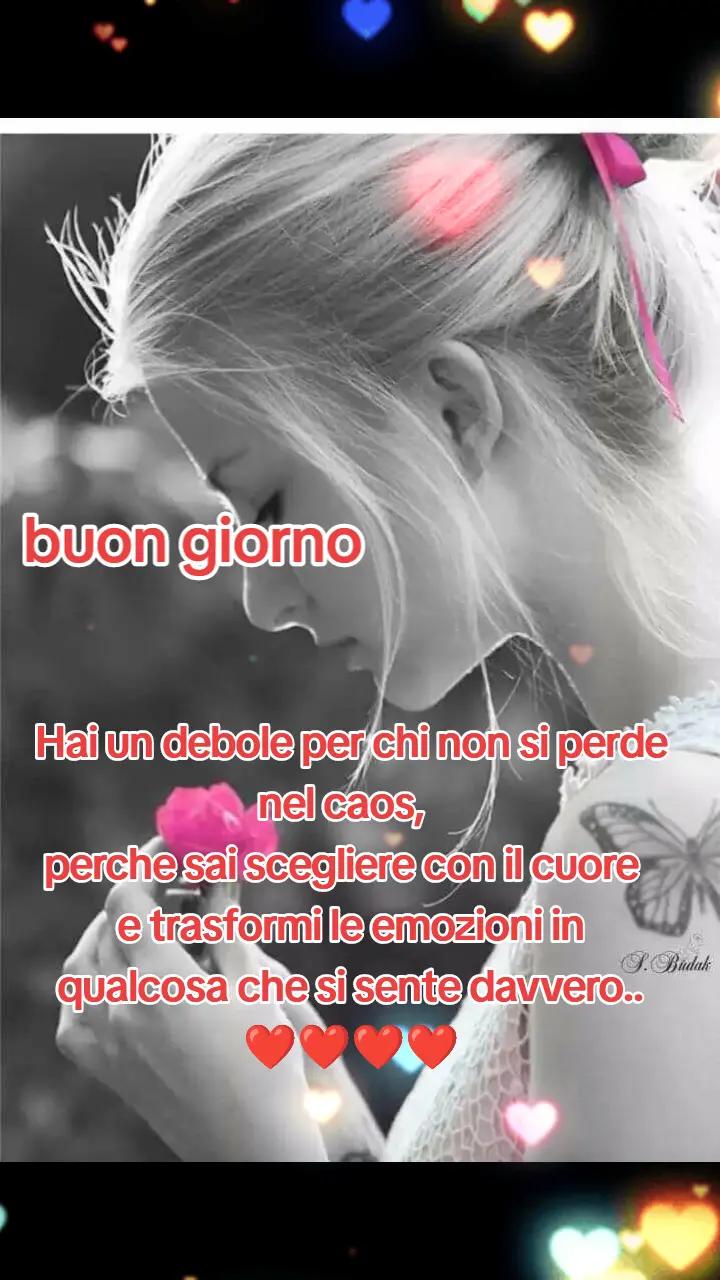 @Enzo Amato