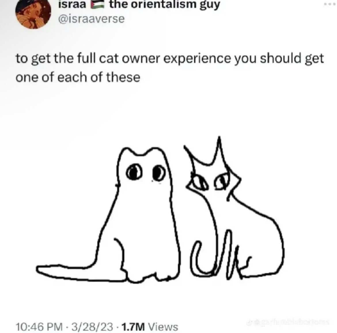 @Mothman