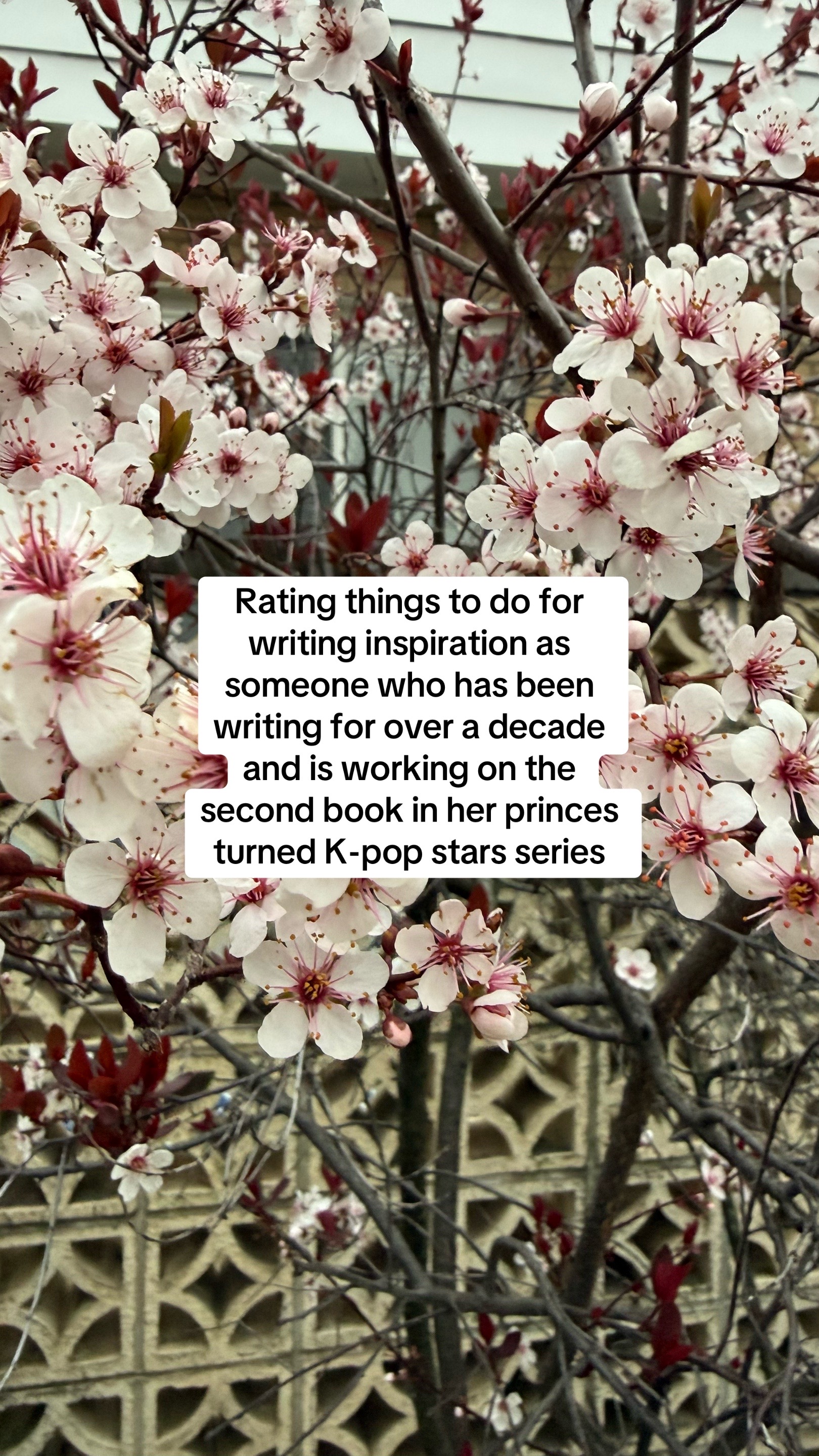 @Ella writes K-pop books
