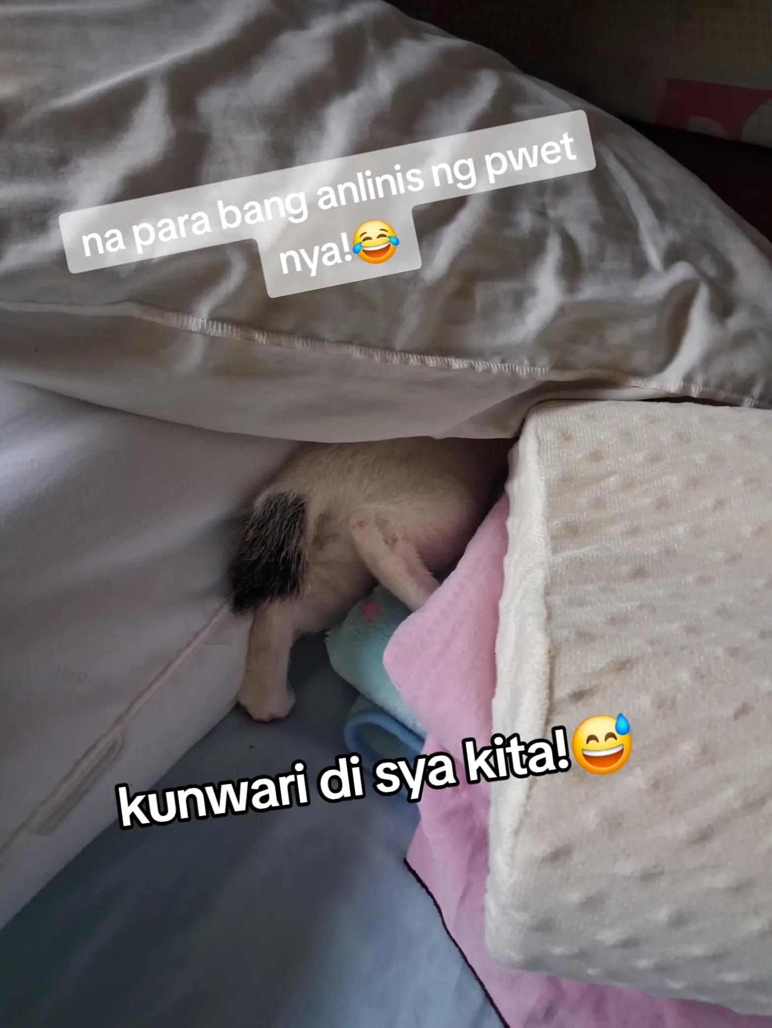 @cathl33n🤘