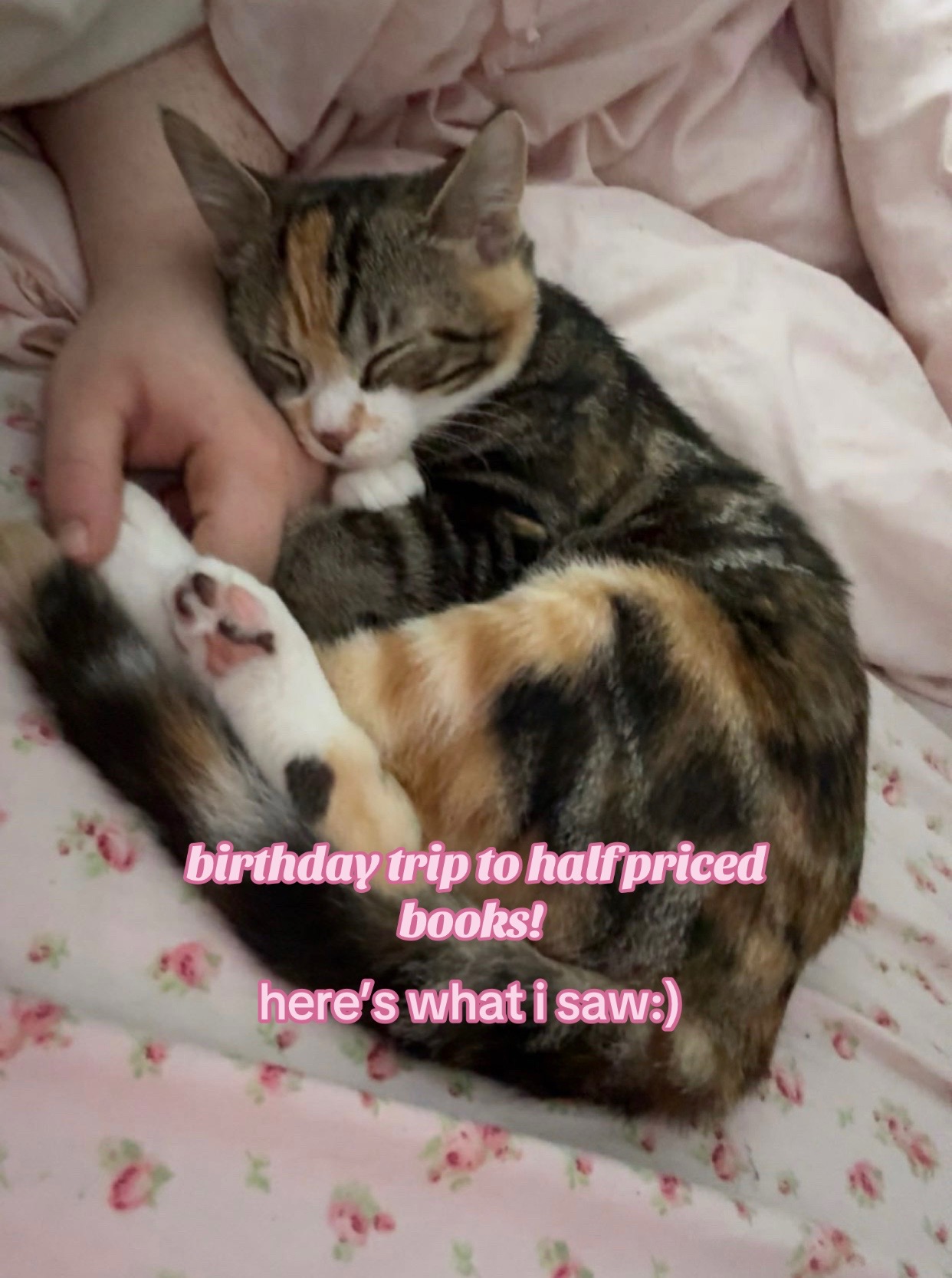 @❀ hailey ❀