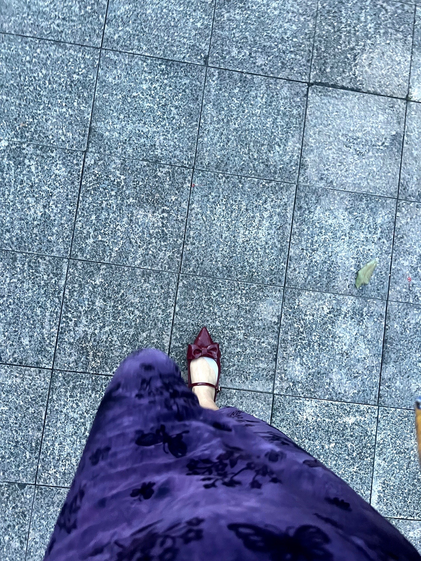 @小咪🌸