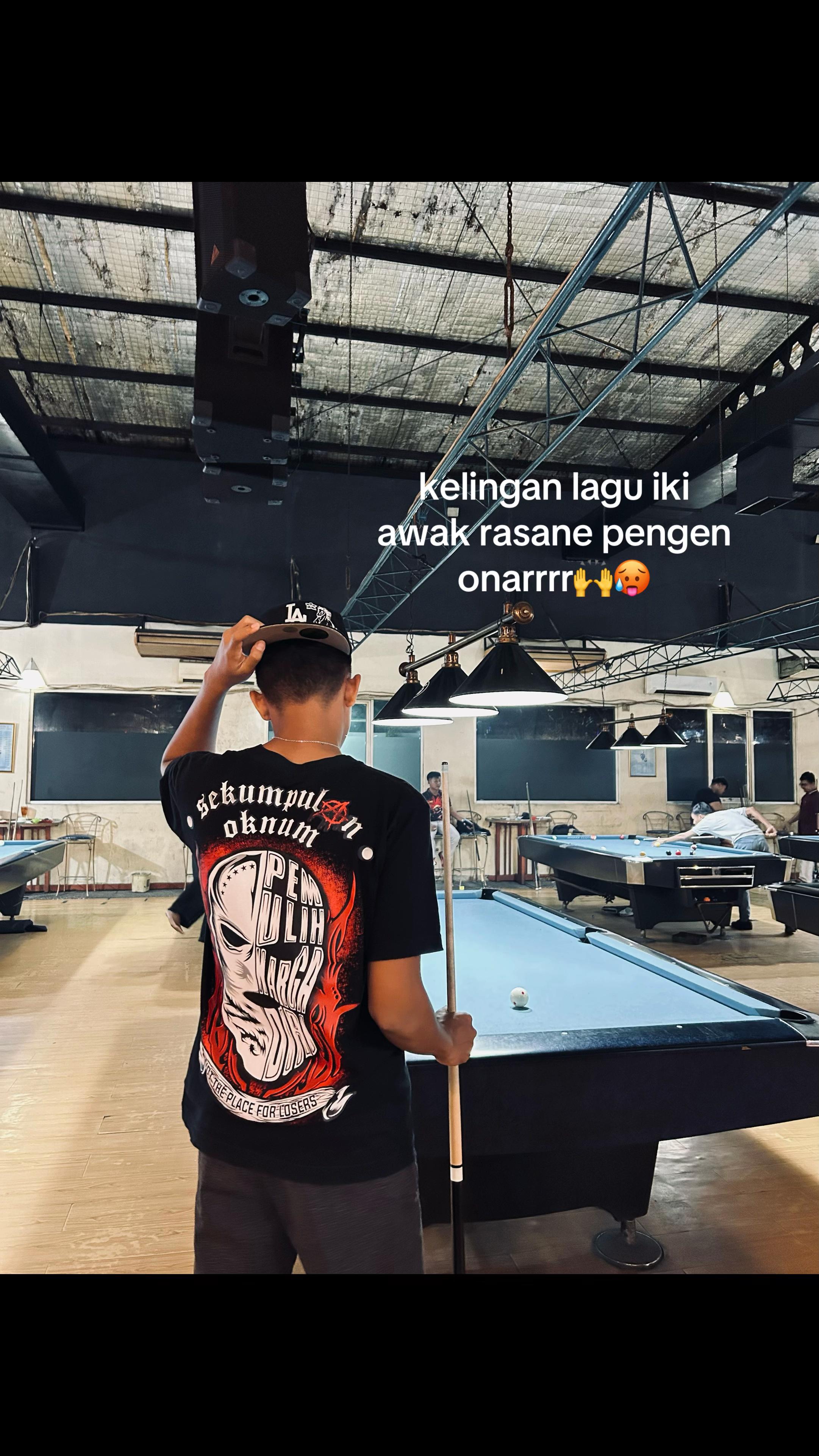 @sepaanj