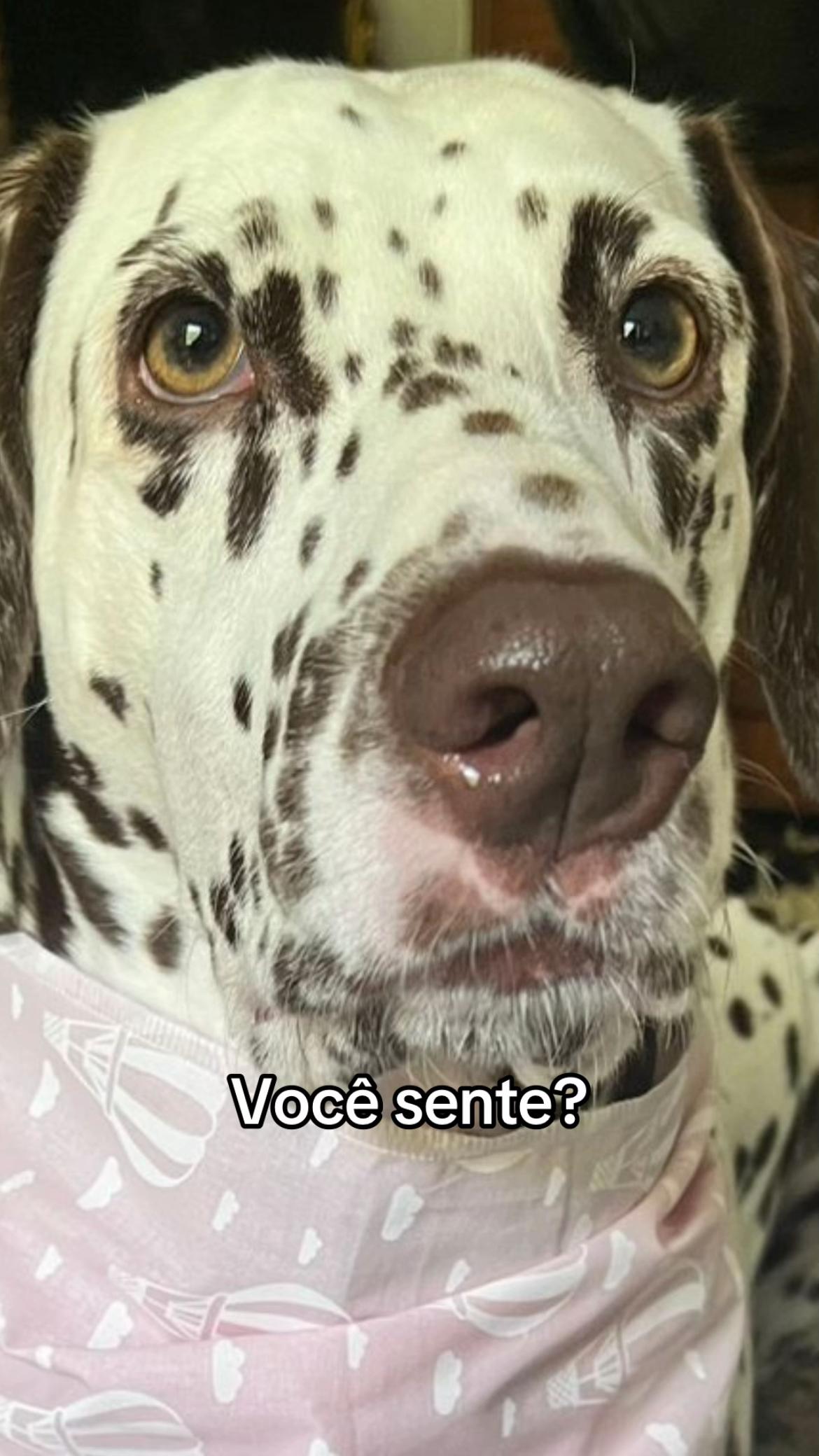 @Margô e Jude