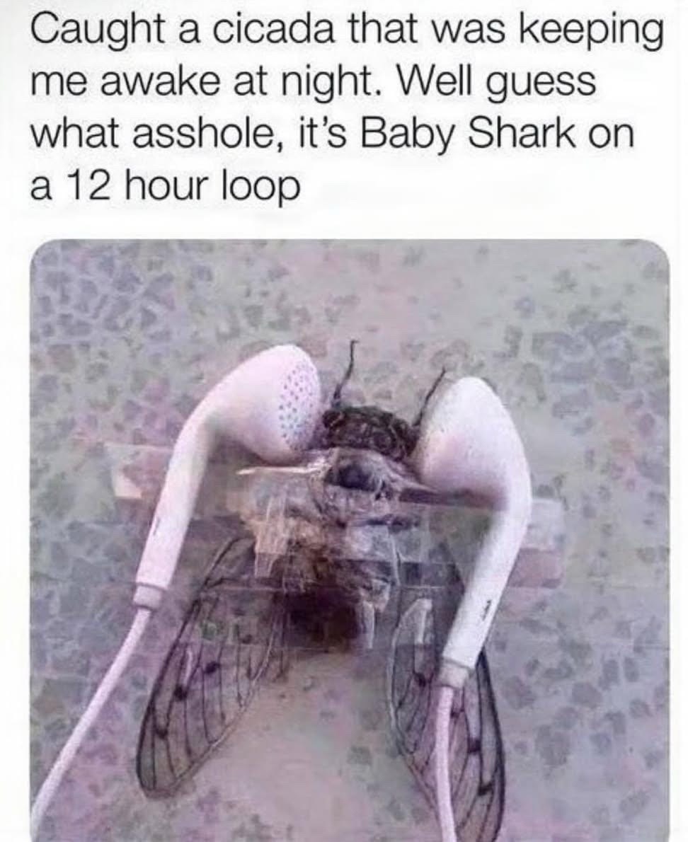 @🔥