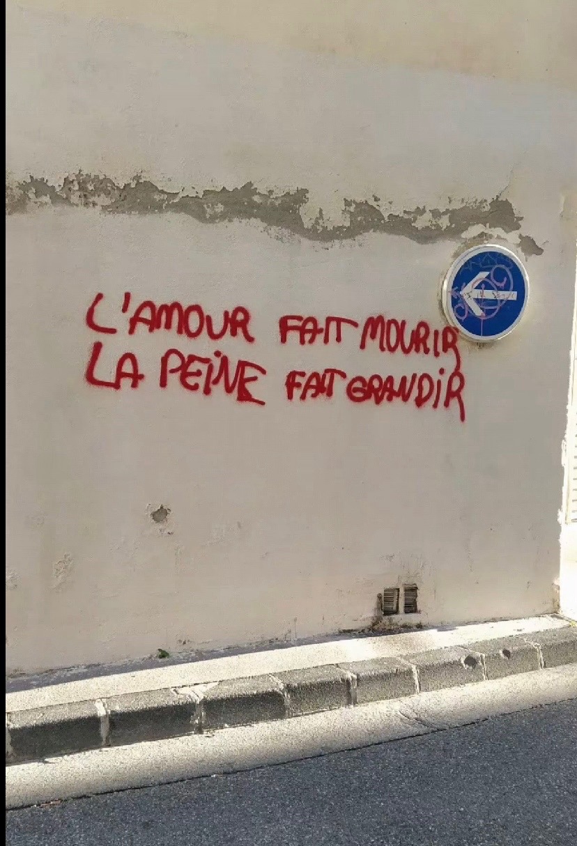 @ALGERINO🇩🇿