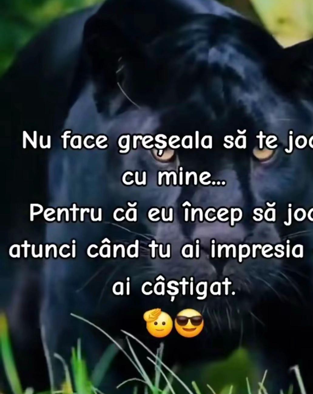 @Enshal