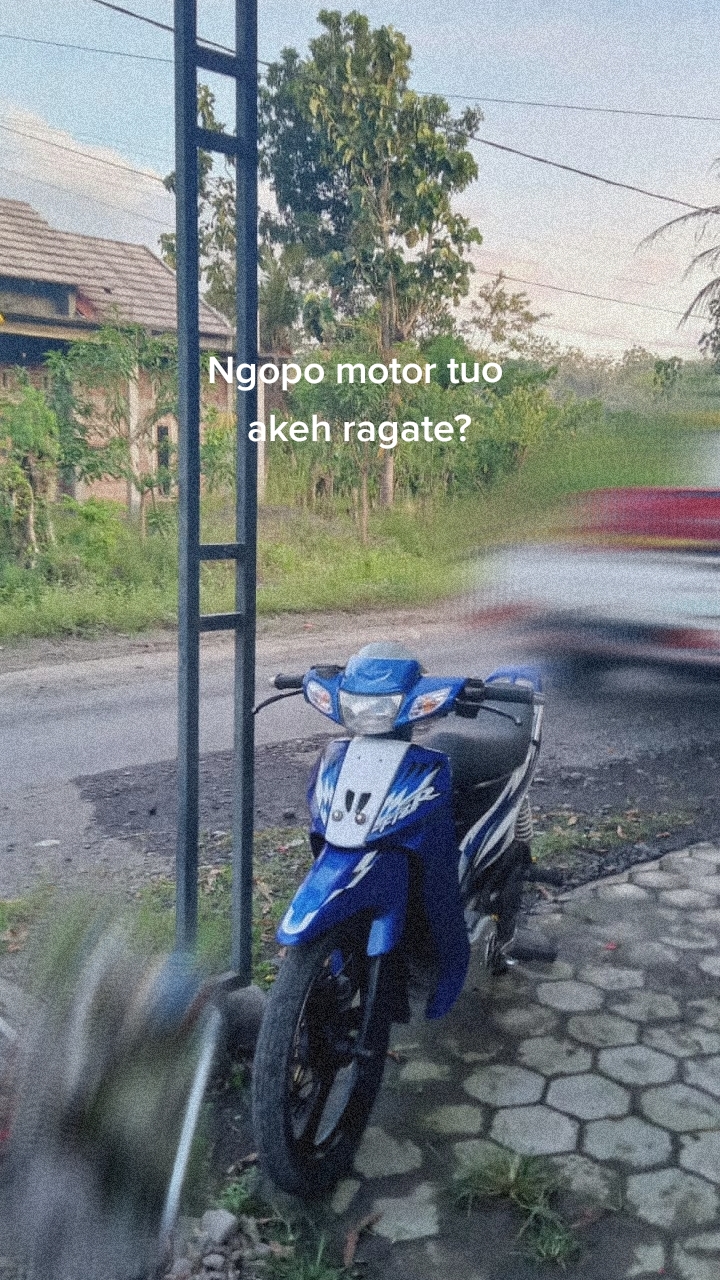 @๐ฝ๐ก๐ช๐๐๐๐๐ฏ๐ฏ