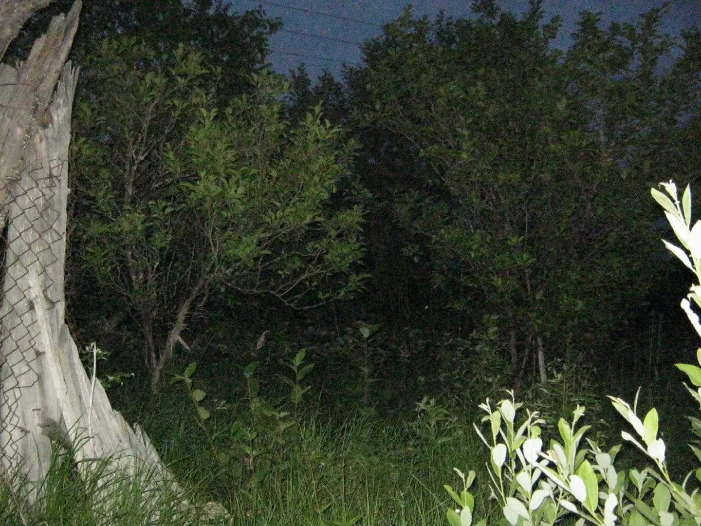 @мир меланхолии