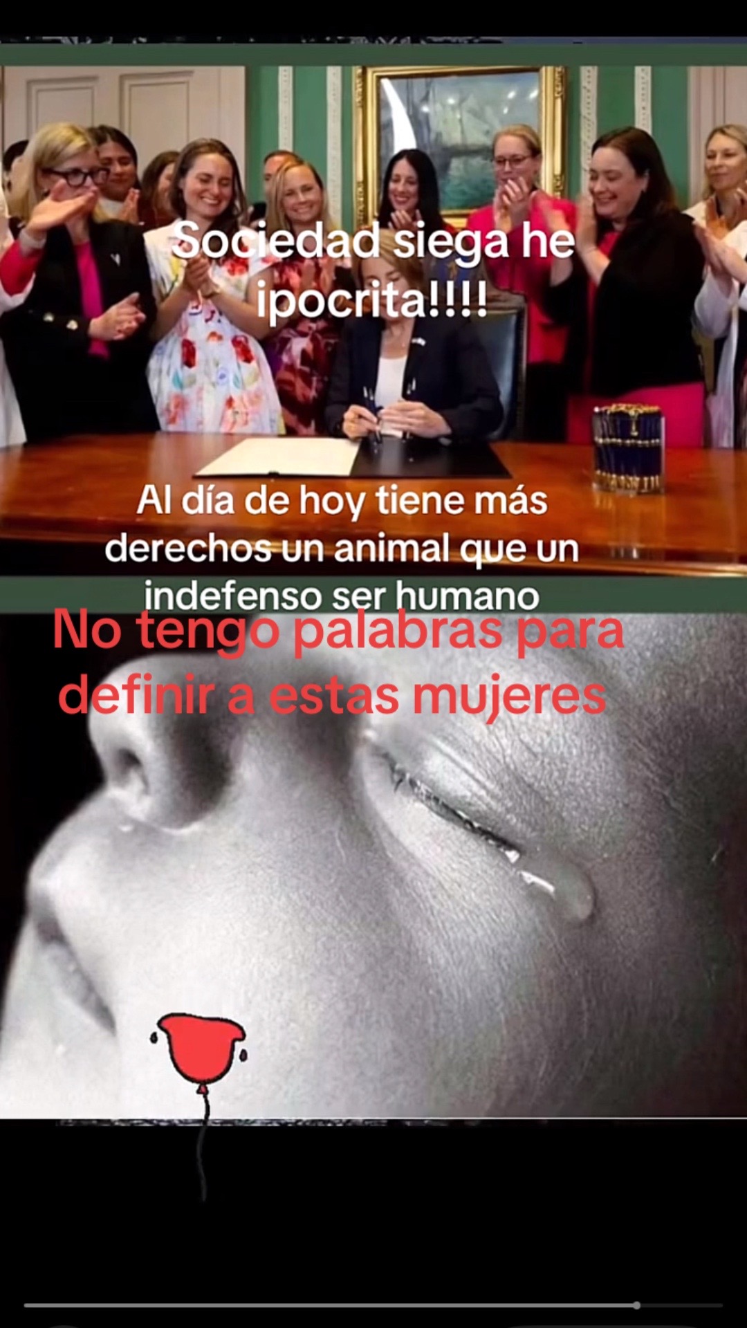 @lorenacampos3223