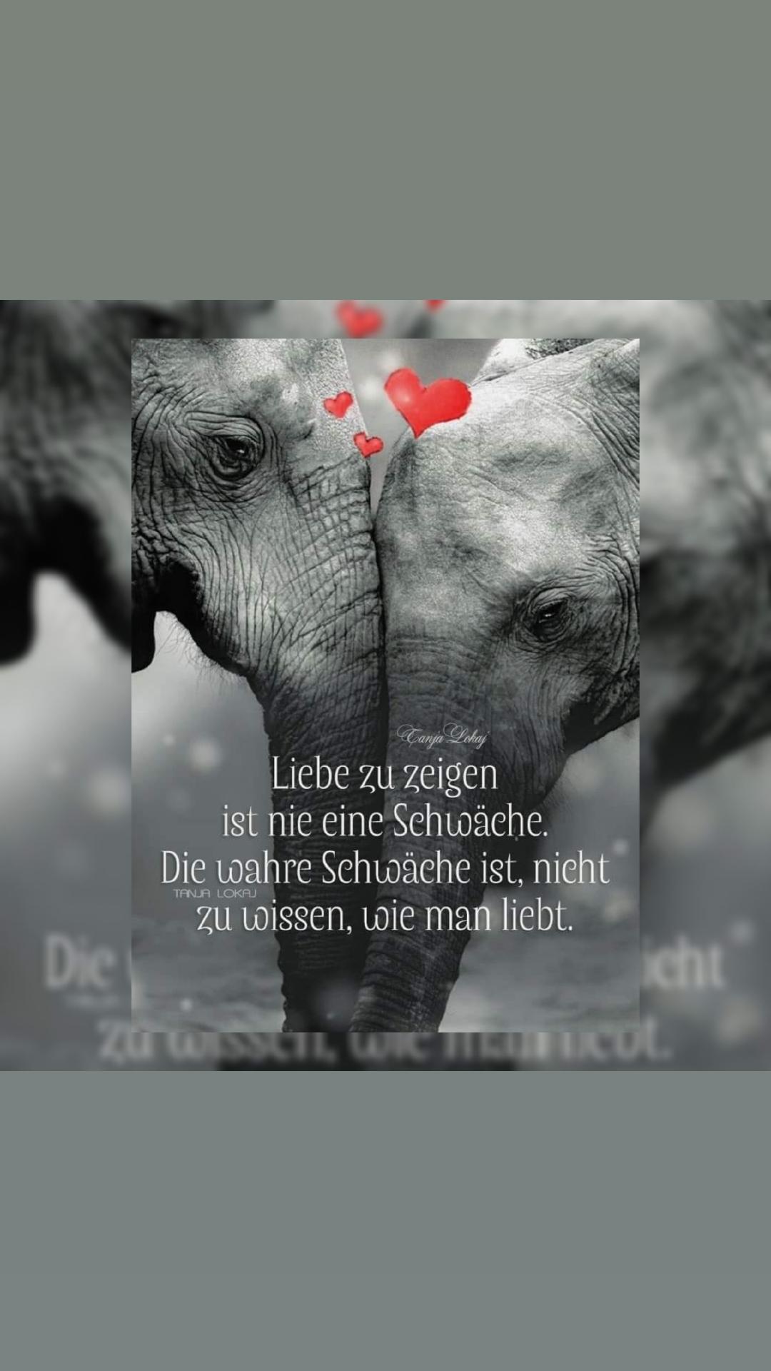 @🖤 loveyouto_much 🖤