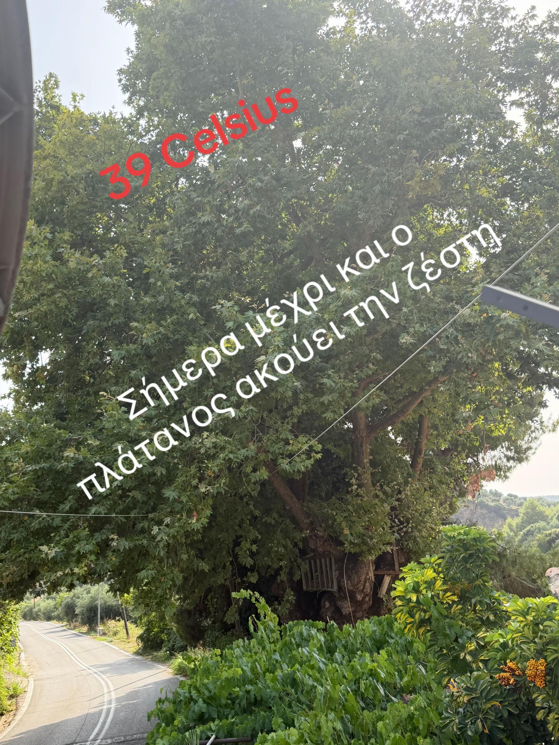 @Babis Kounadis
