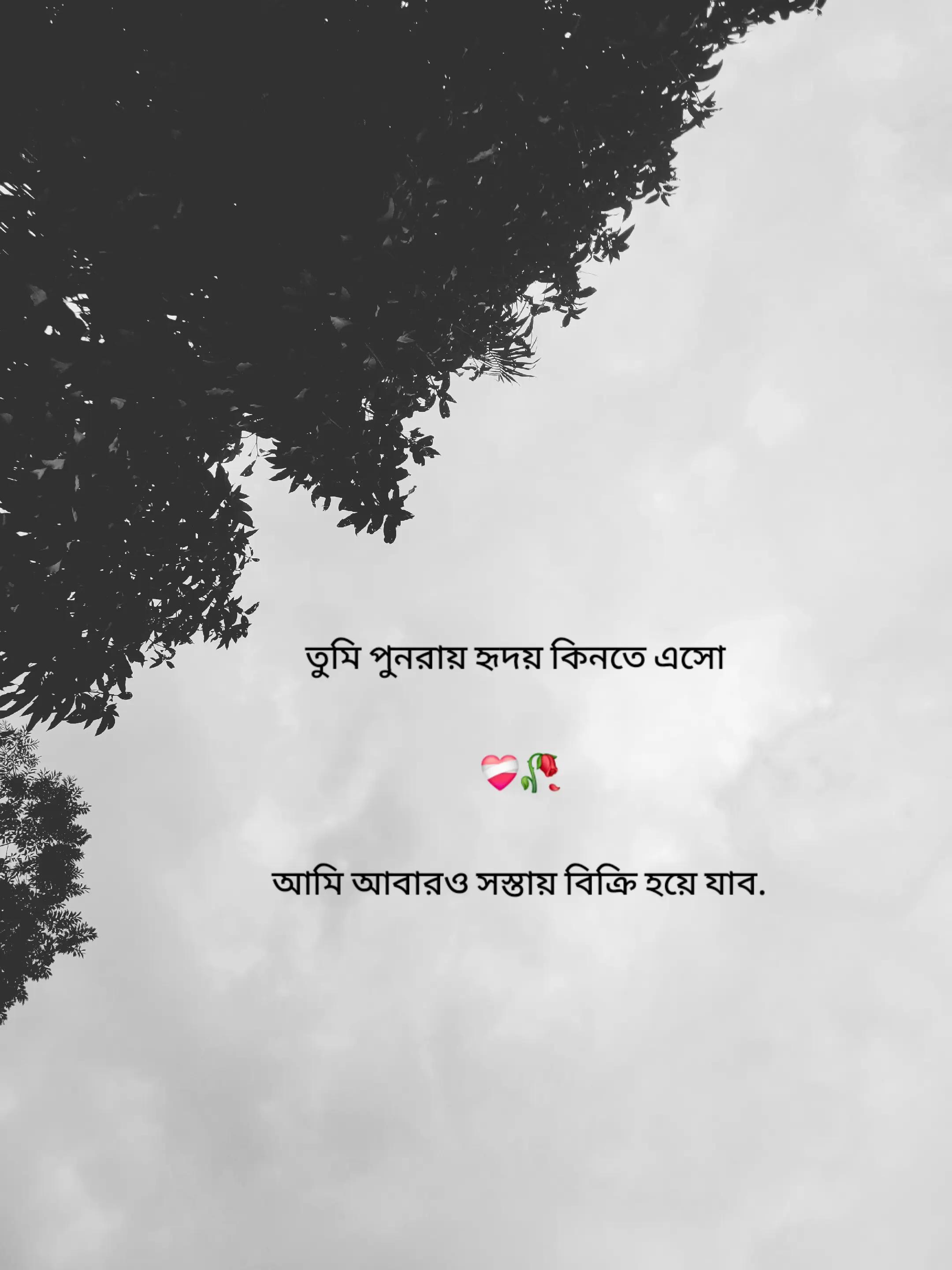 @Nabil