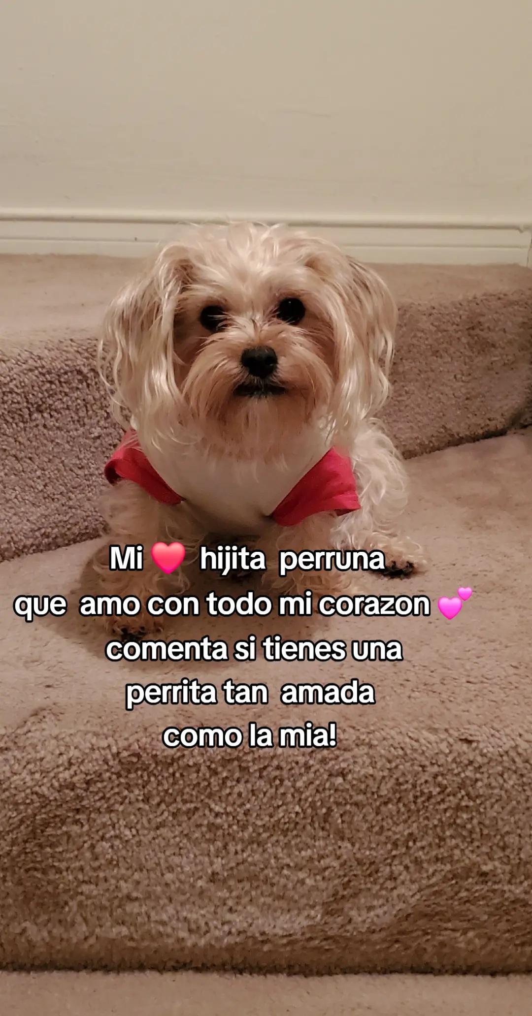 @CristalBalderas