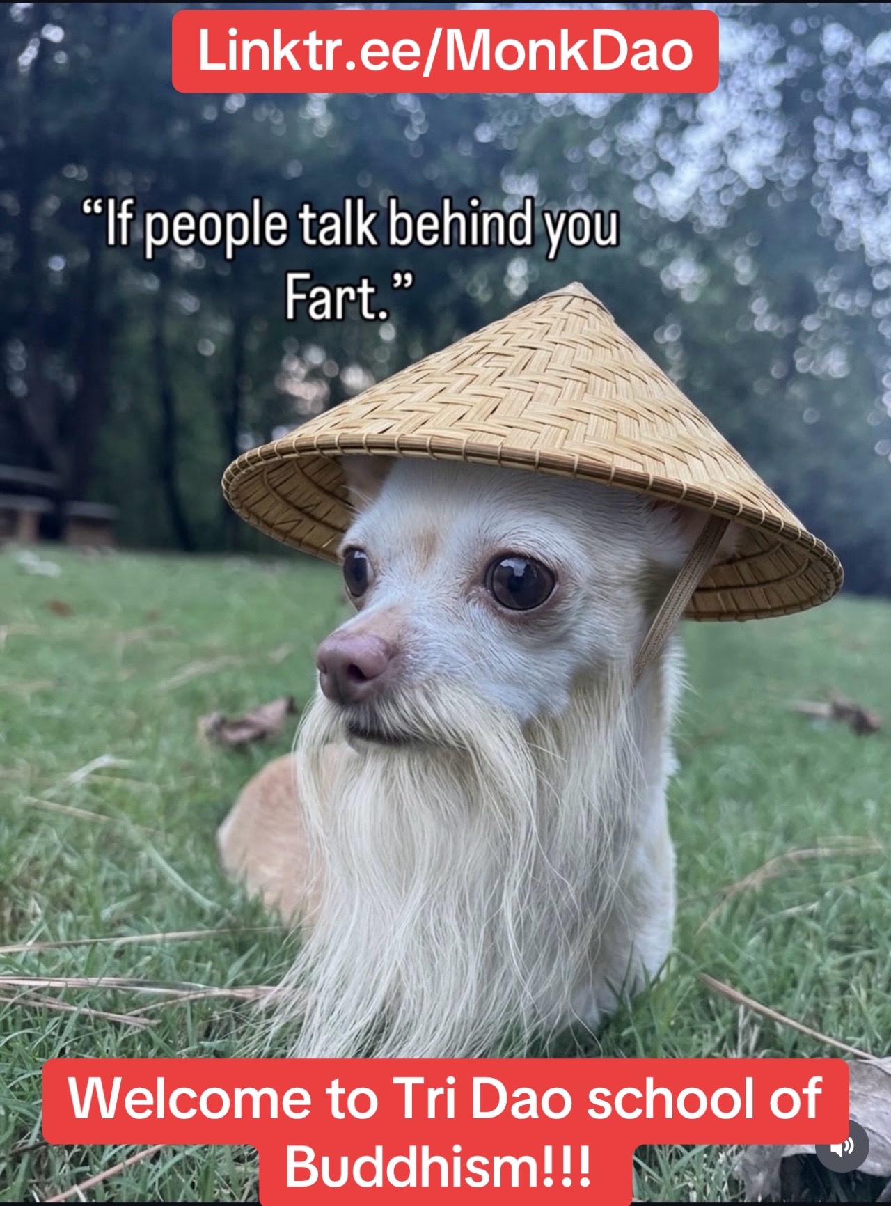 @Ajahn DAO