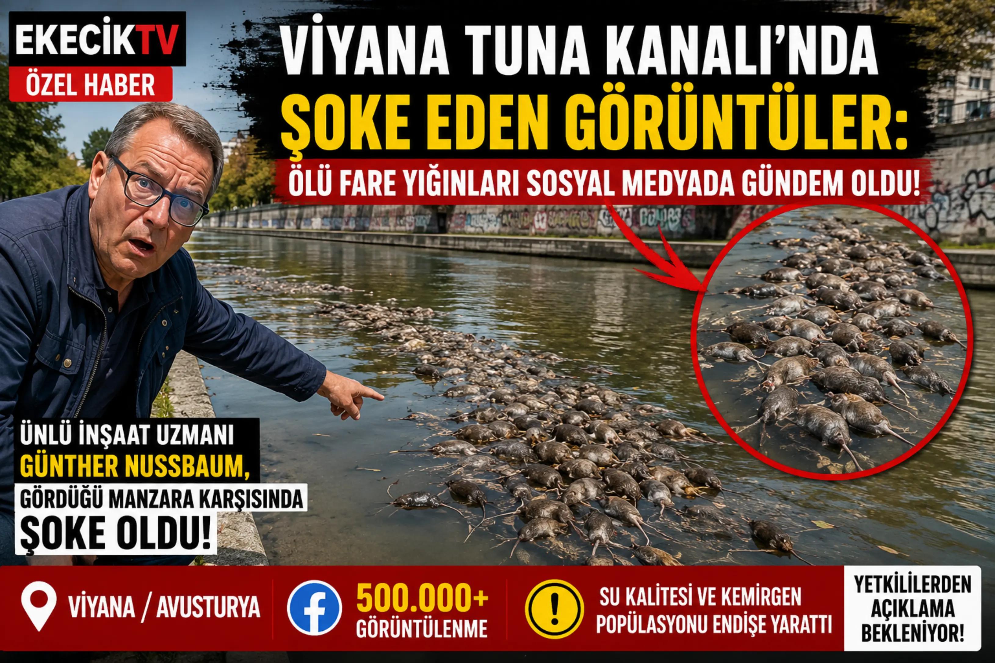 @EkecikTv