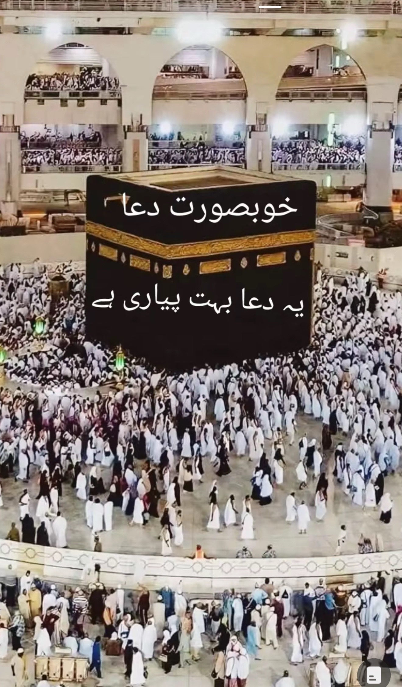 @Sadia Khan USA 🇺🇸🇵🇰