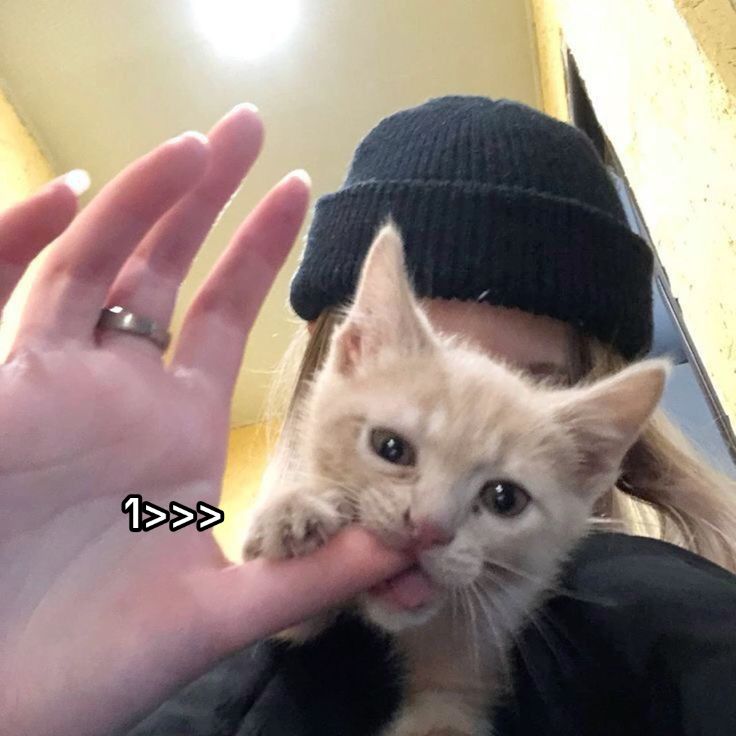 @хефка♻️