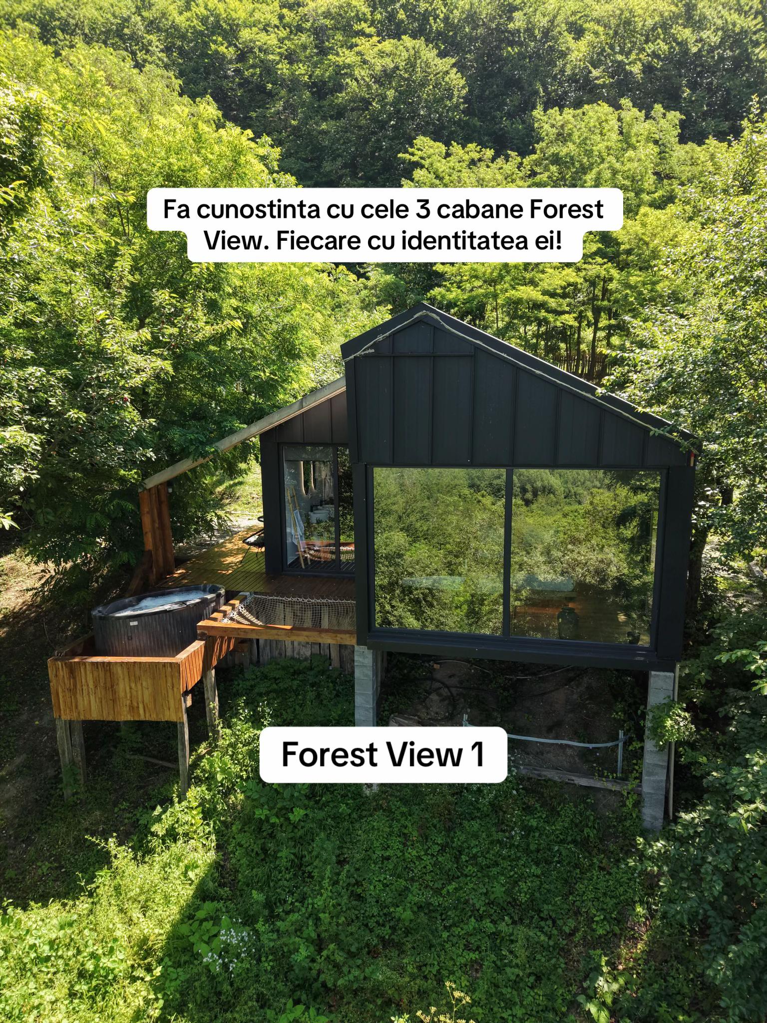 @Forest View Valcea