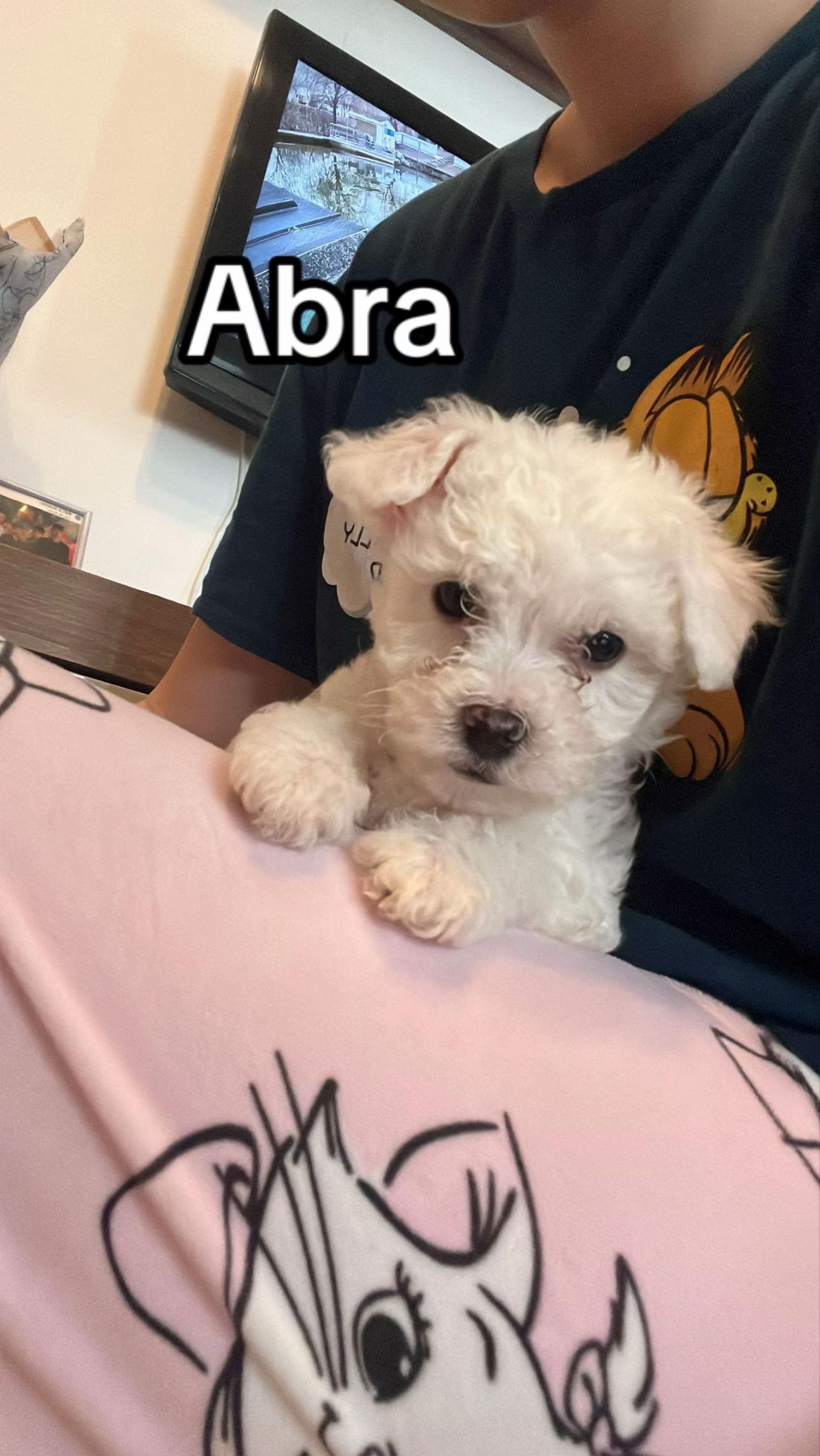 @ABX