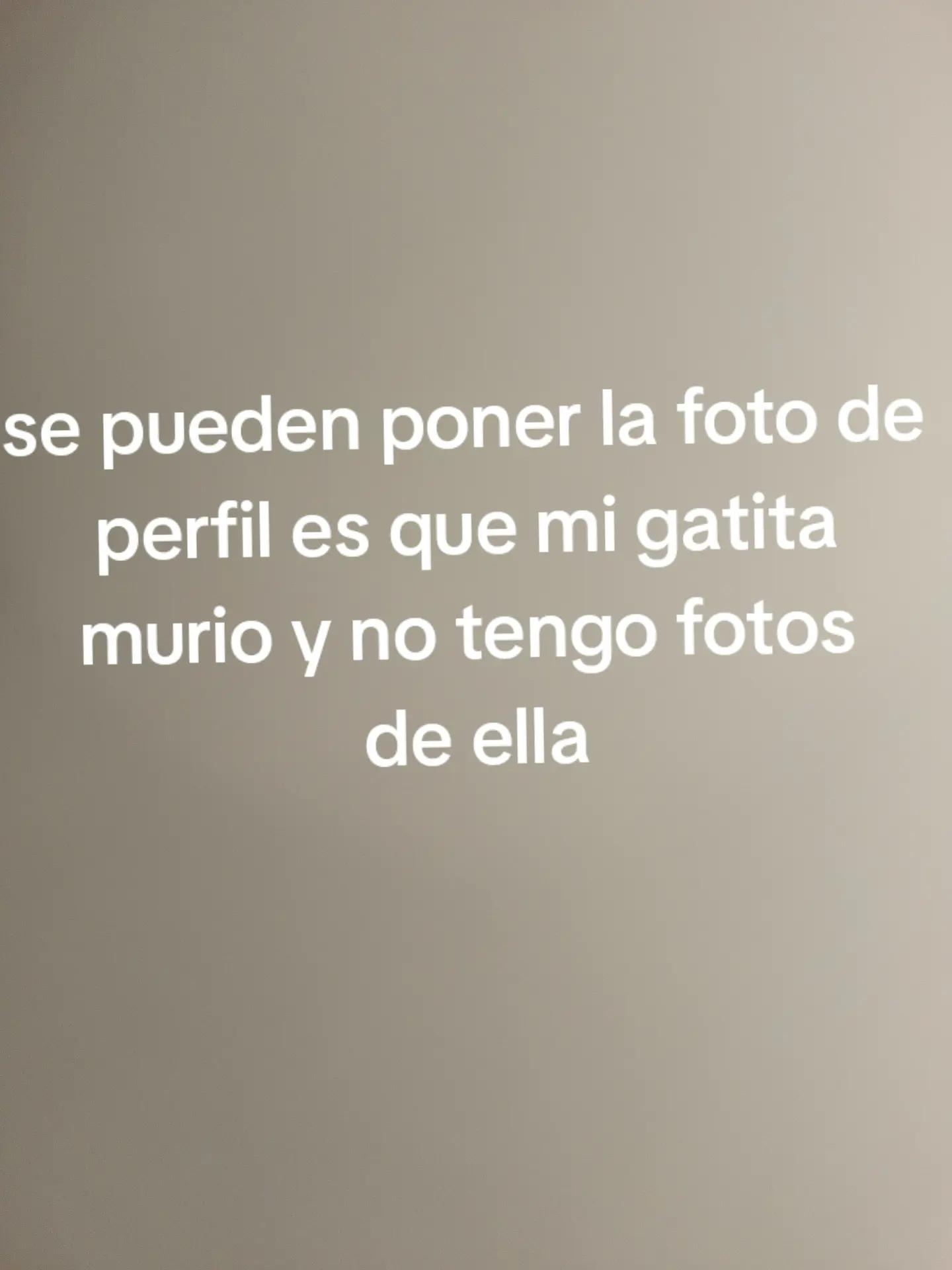 @en línea...