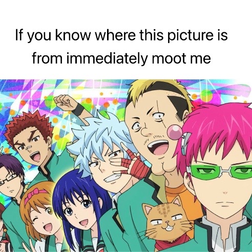 @🌸ℂ𝕙𝕚𝕔𝕙𝕚🌸