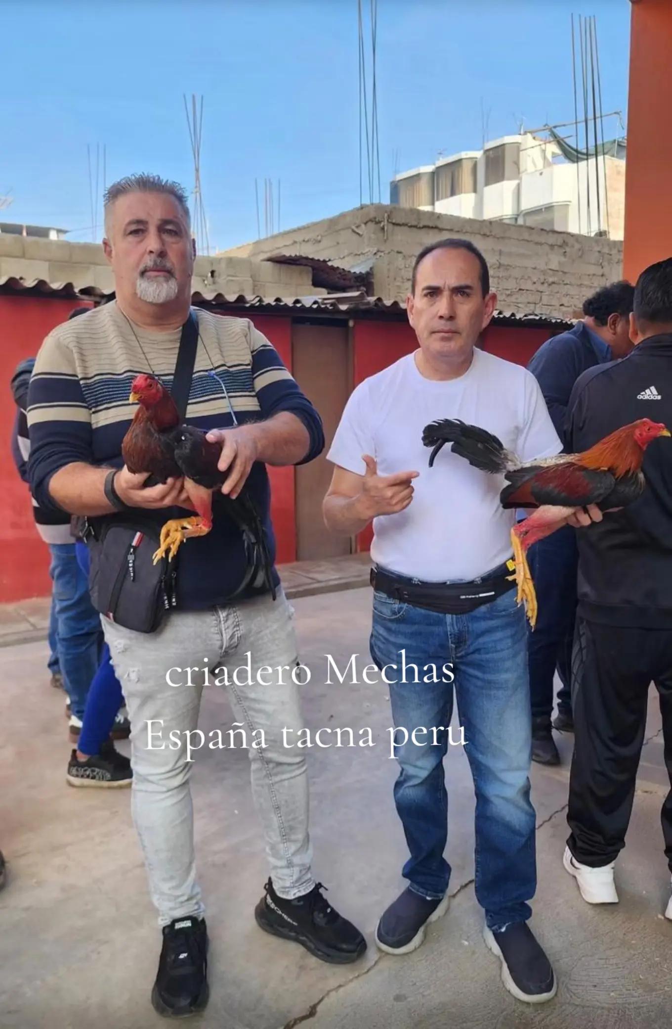 @Juanmecha