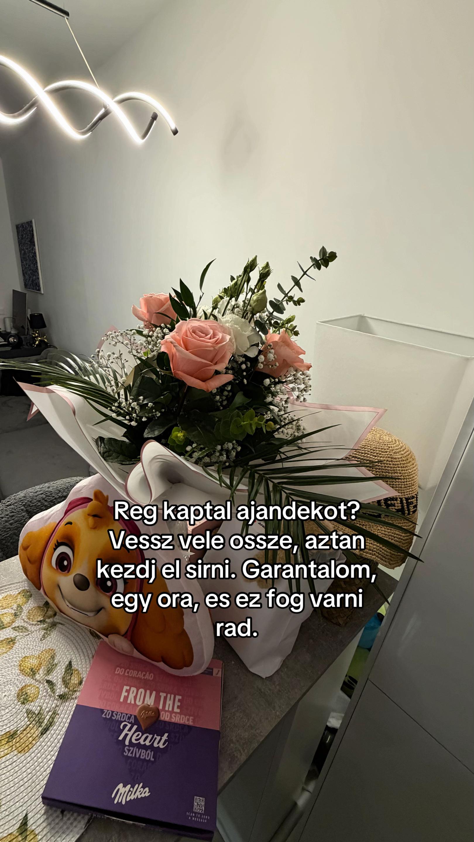 @mezeiklaudia_