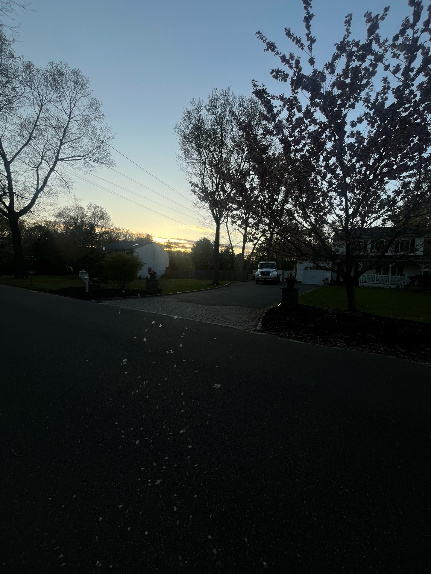 @🕷️