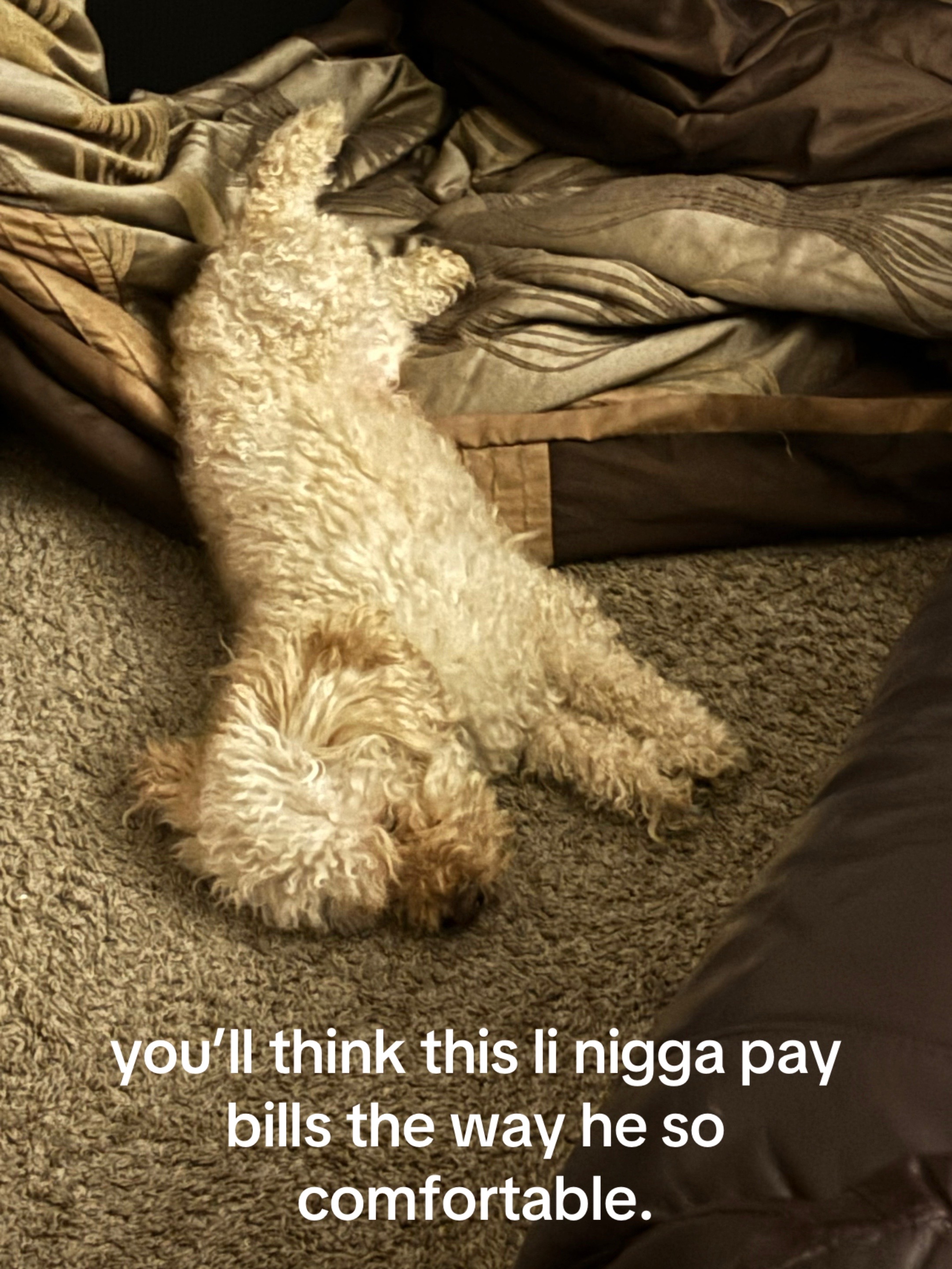 @Up1
