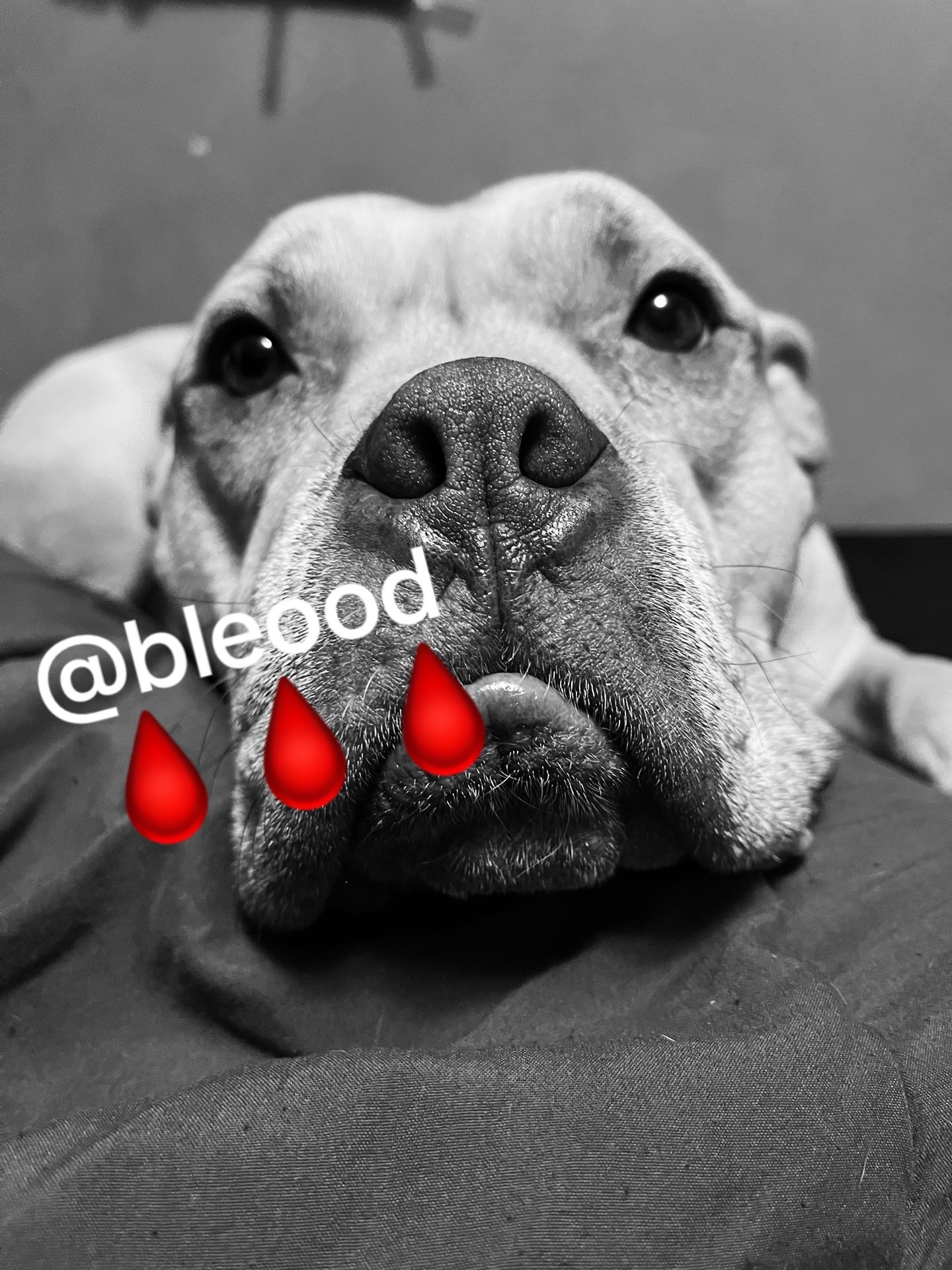 @Julio ᖭི༏ᖫྀ