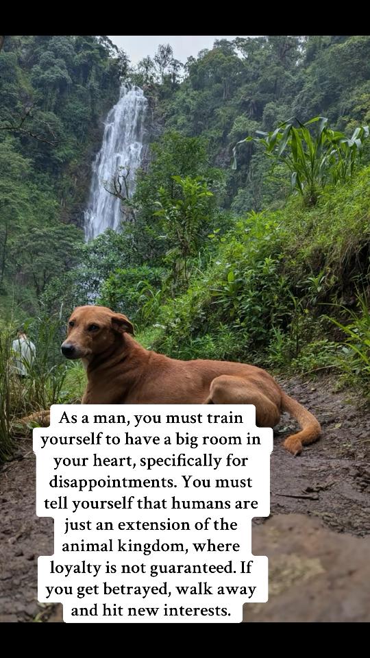 @thekenyanmancave