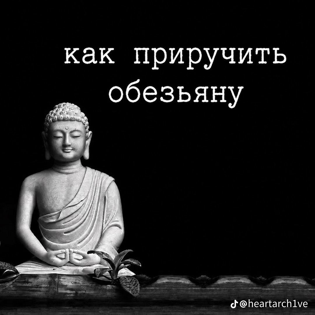 @Льнова🚀