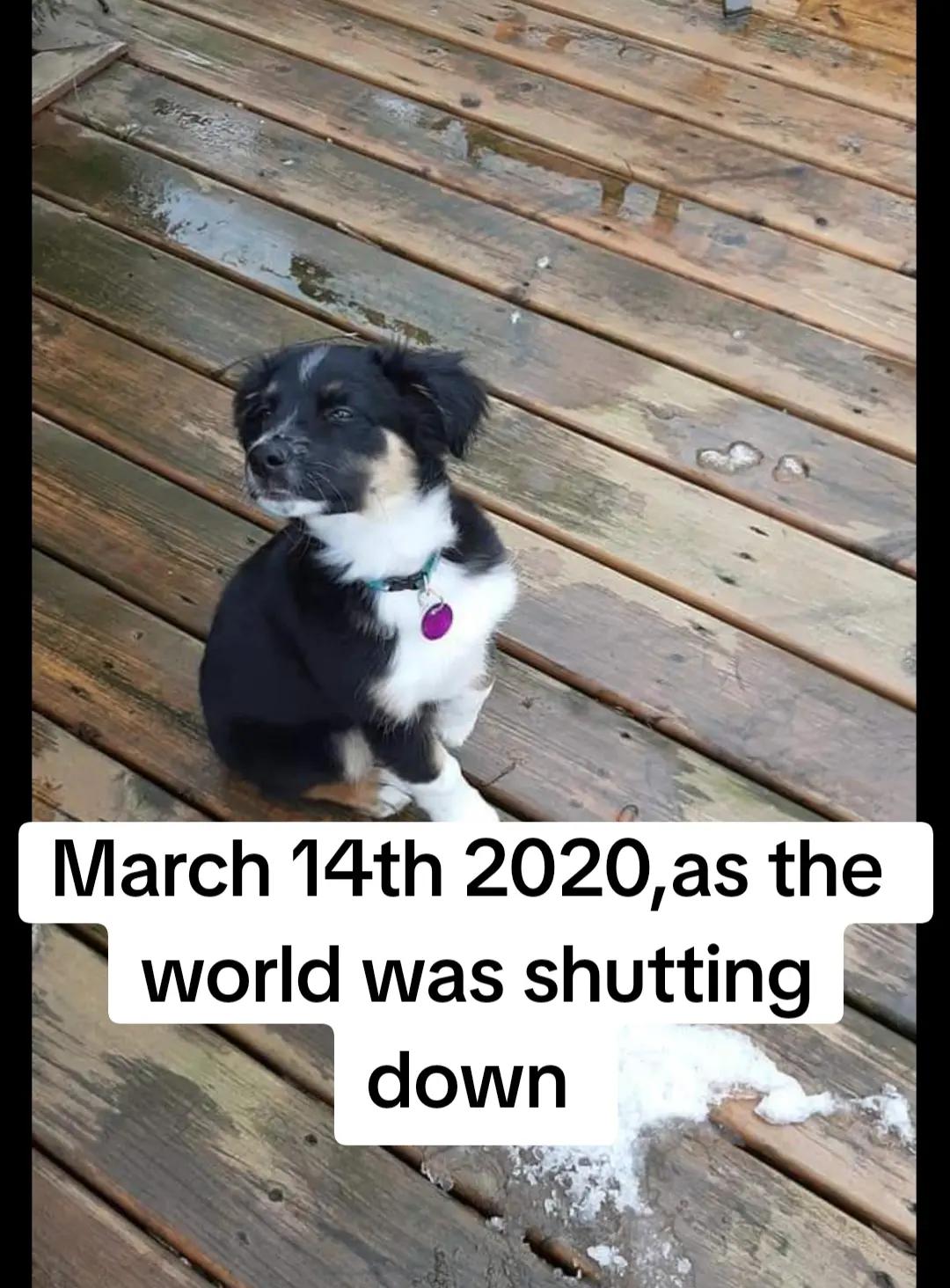 @EVE(dogmom)