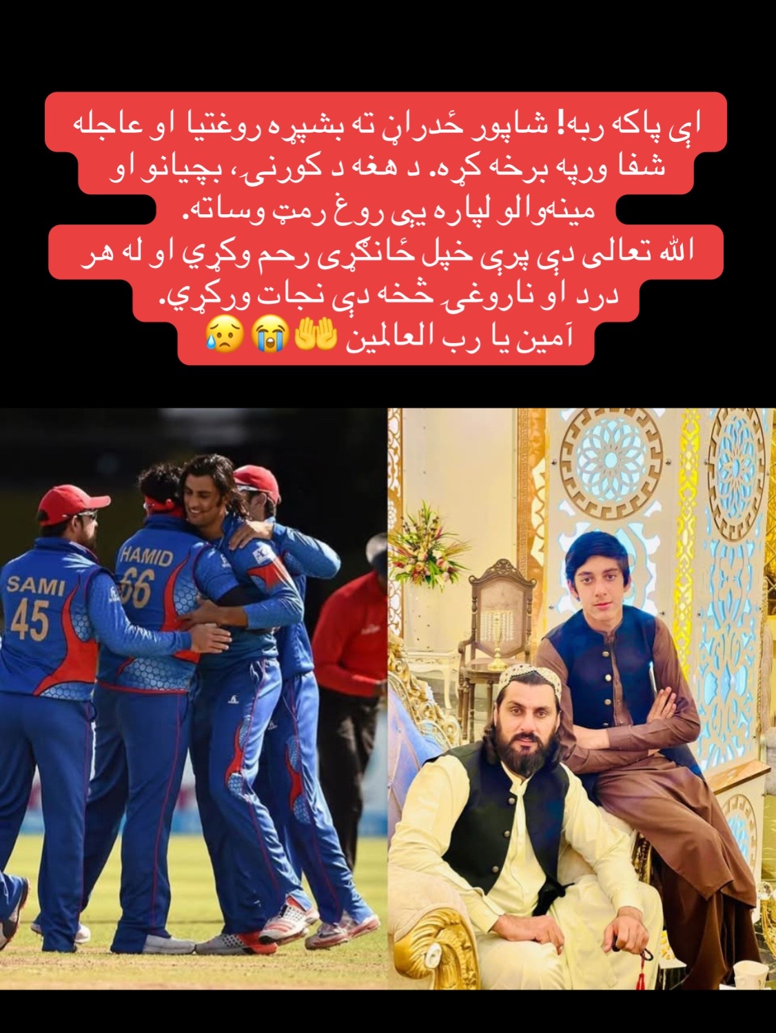 @LQ_Edit ✔