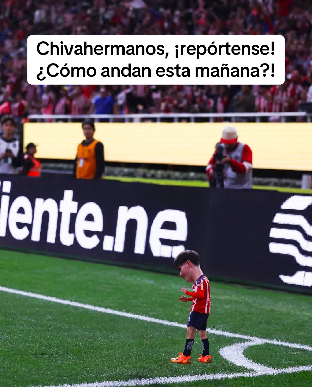 @Minifootballer_