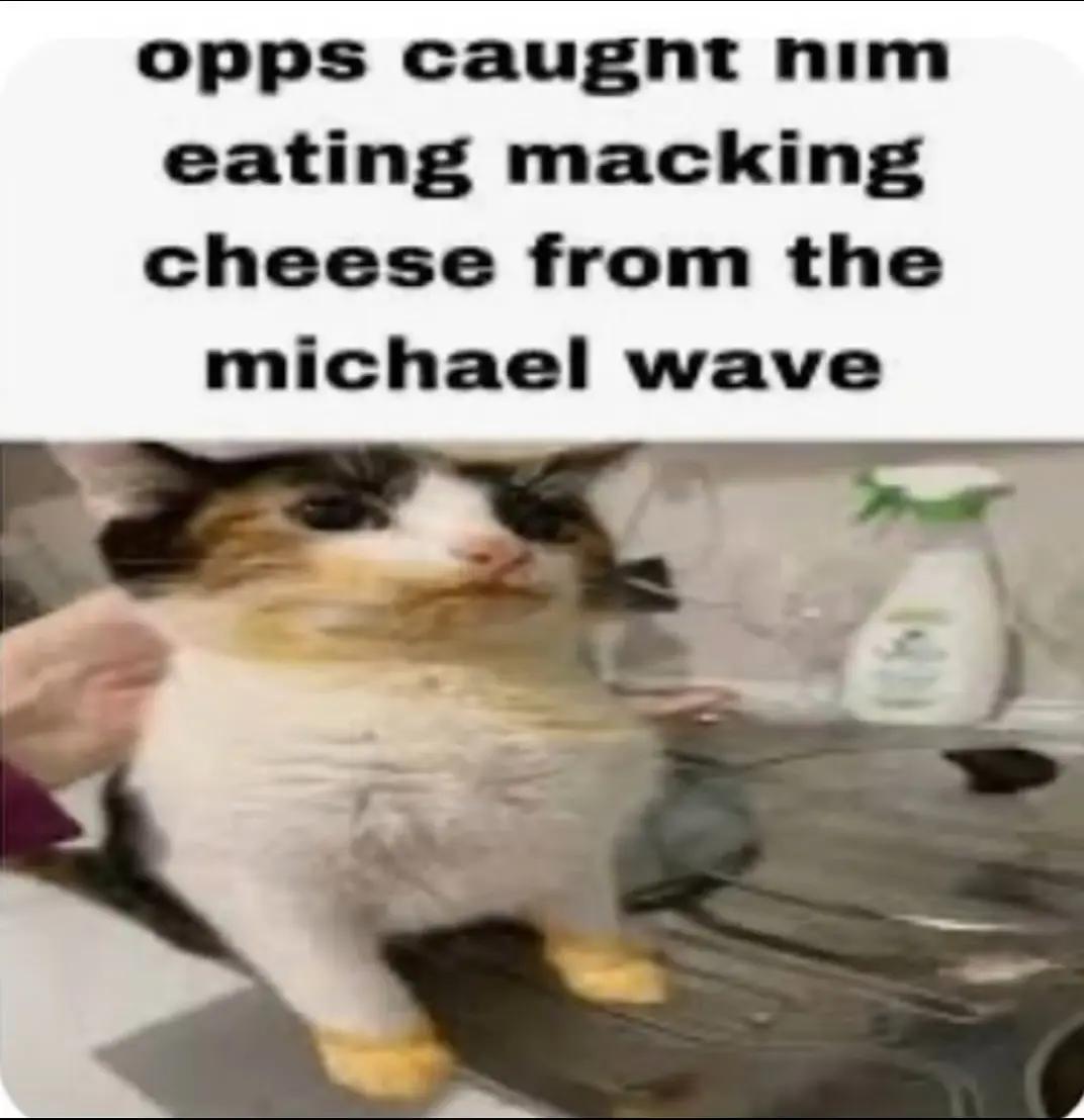 @Chewy