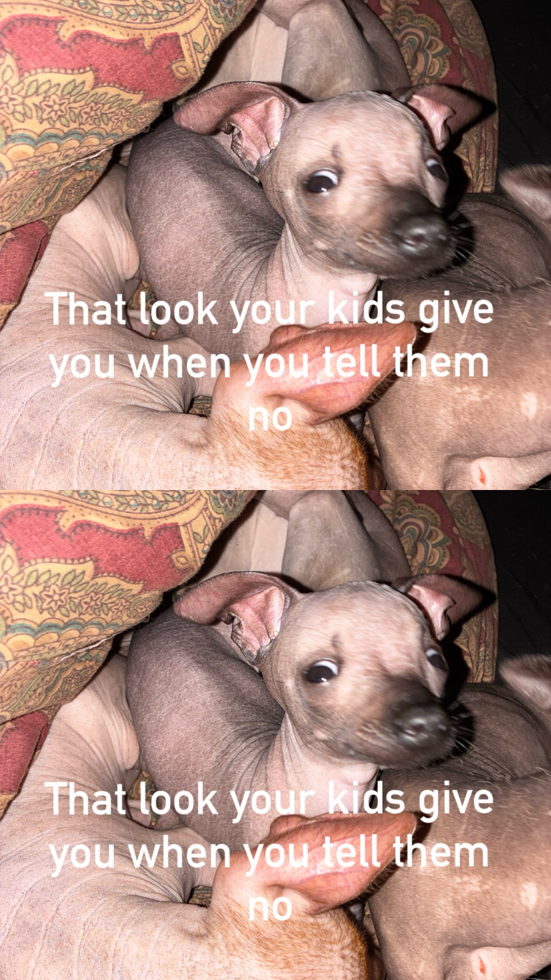 @*Patty*