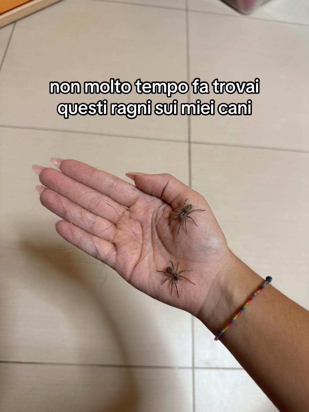 @altrocheholy