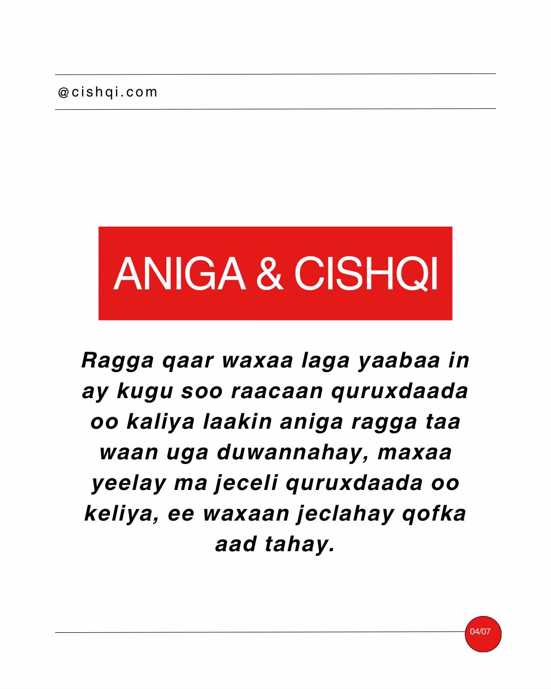 @CISHQI