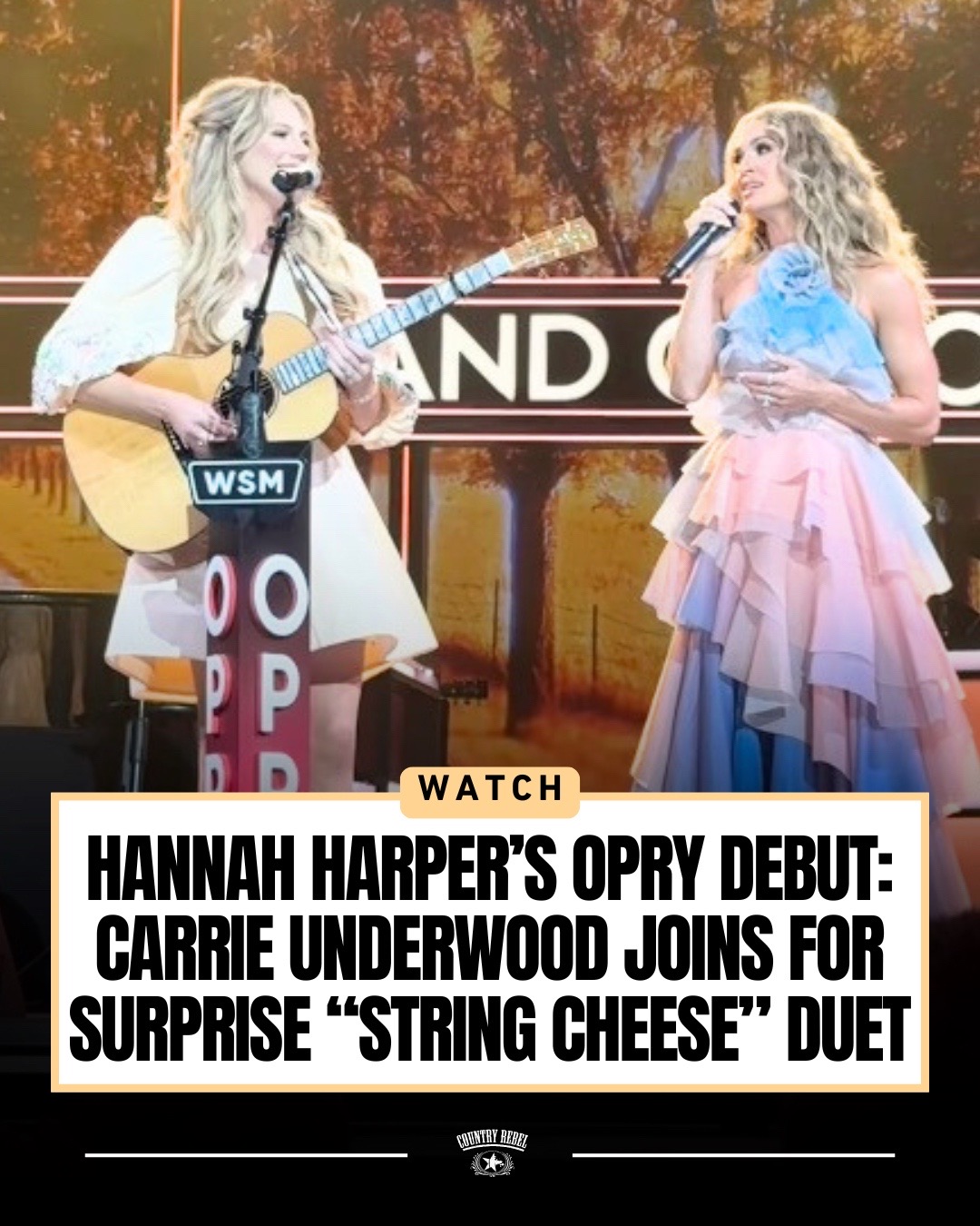 @countryrebel