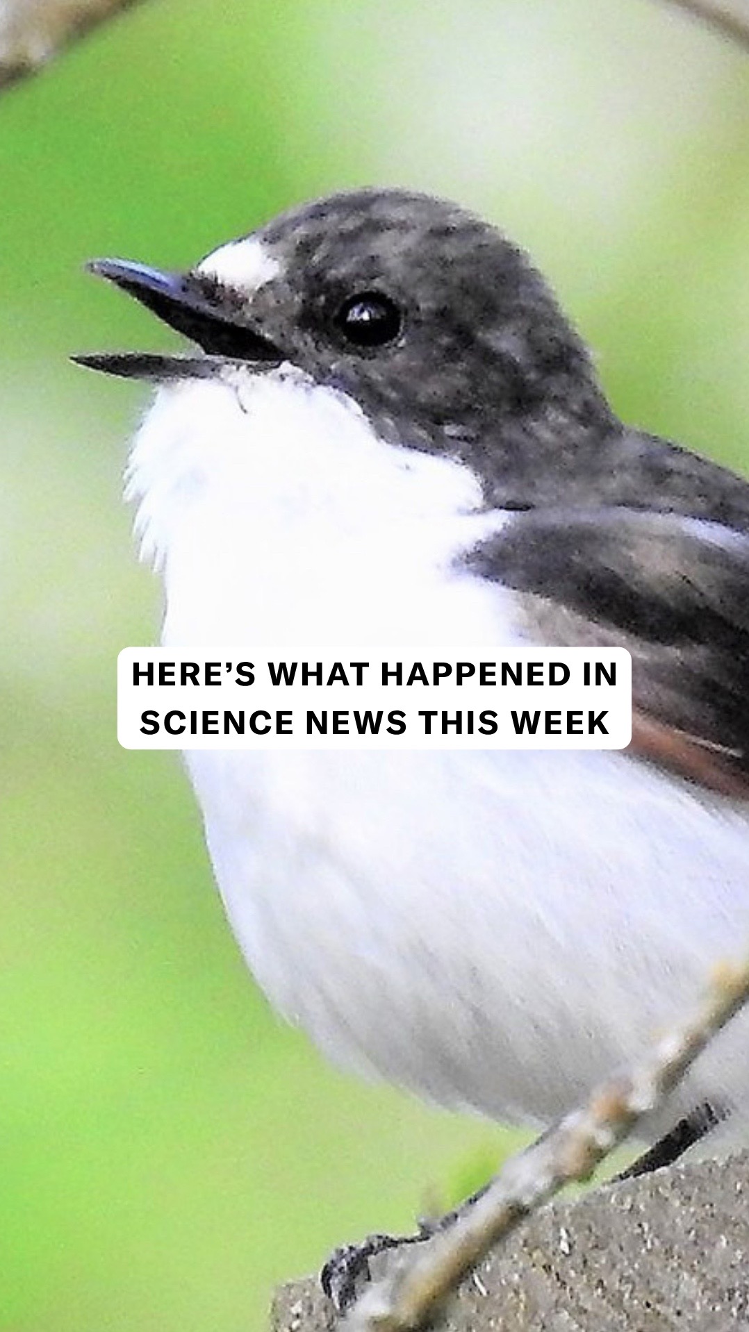 @Science News