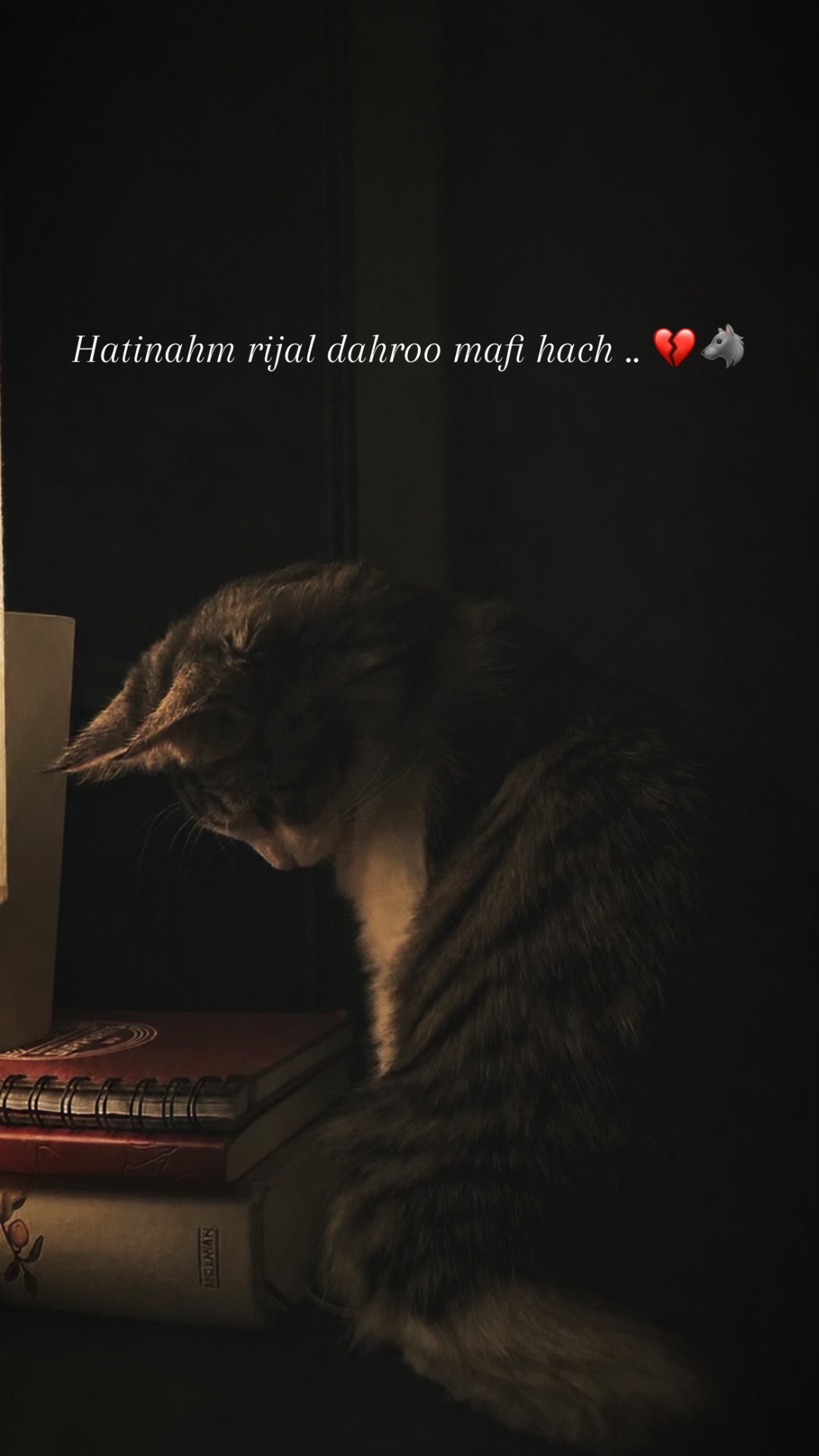 @𝙛𝙧𝙞𝙙𝙪𝙤𝙢  🥀❤️&zwj;🩹