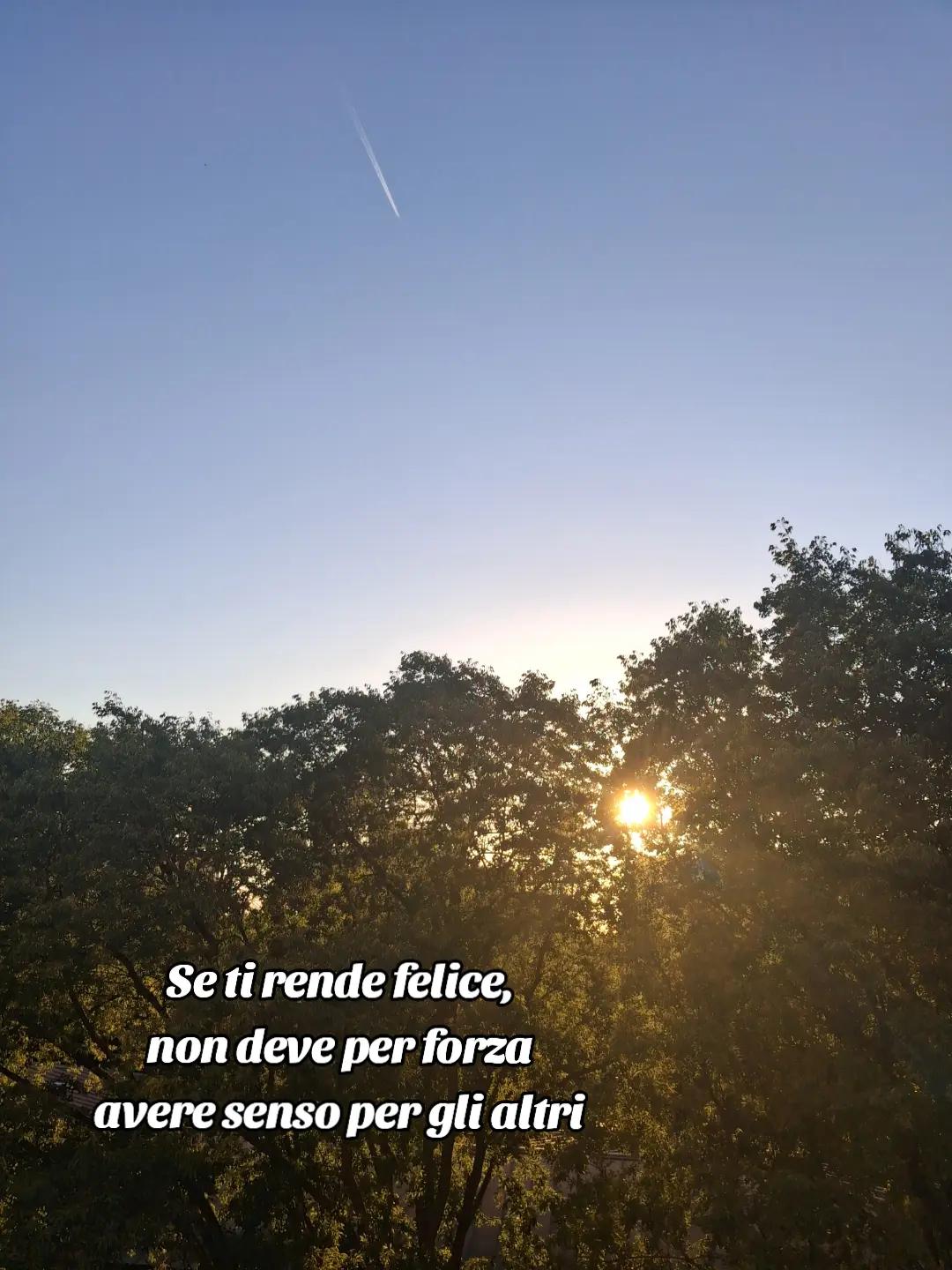@Emilia Grieco