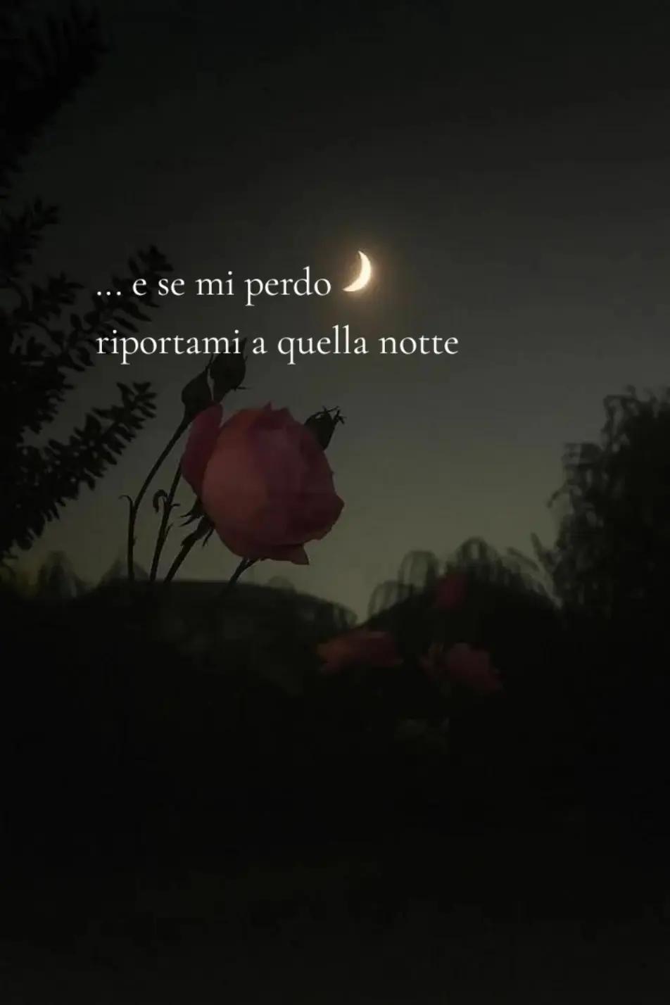 @💙Amali@
