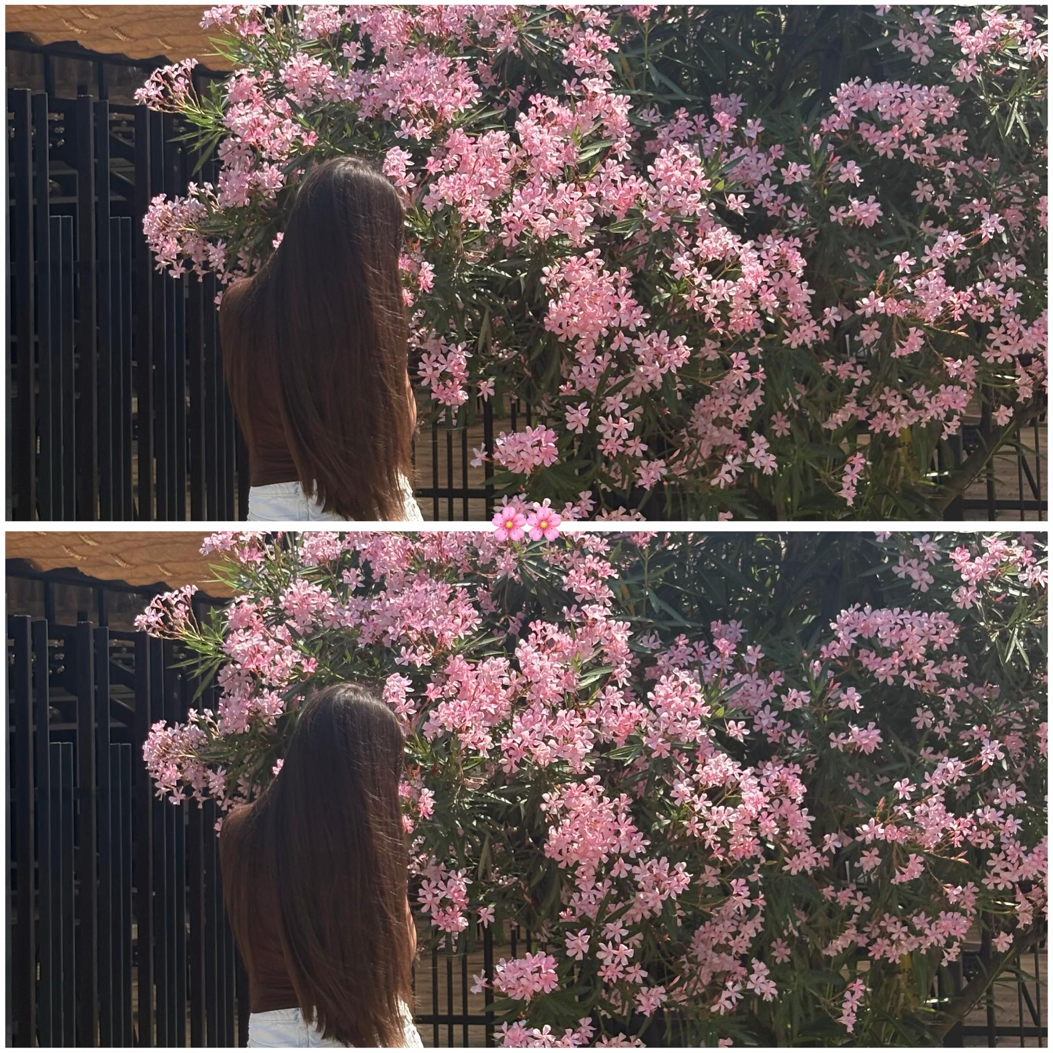 @qwenkk00